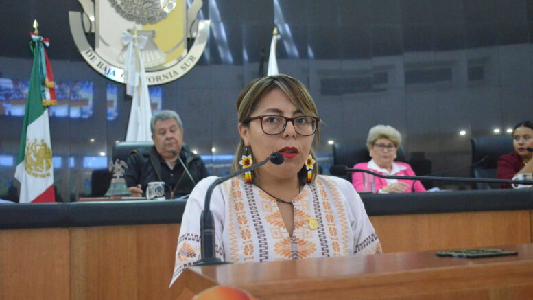 Propone diputada Teresita Valentín armonizar ley en materia de protección de menores