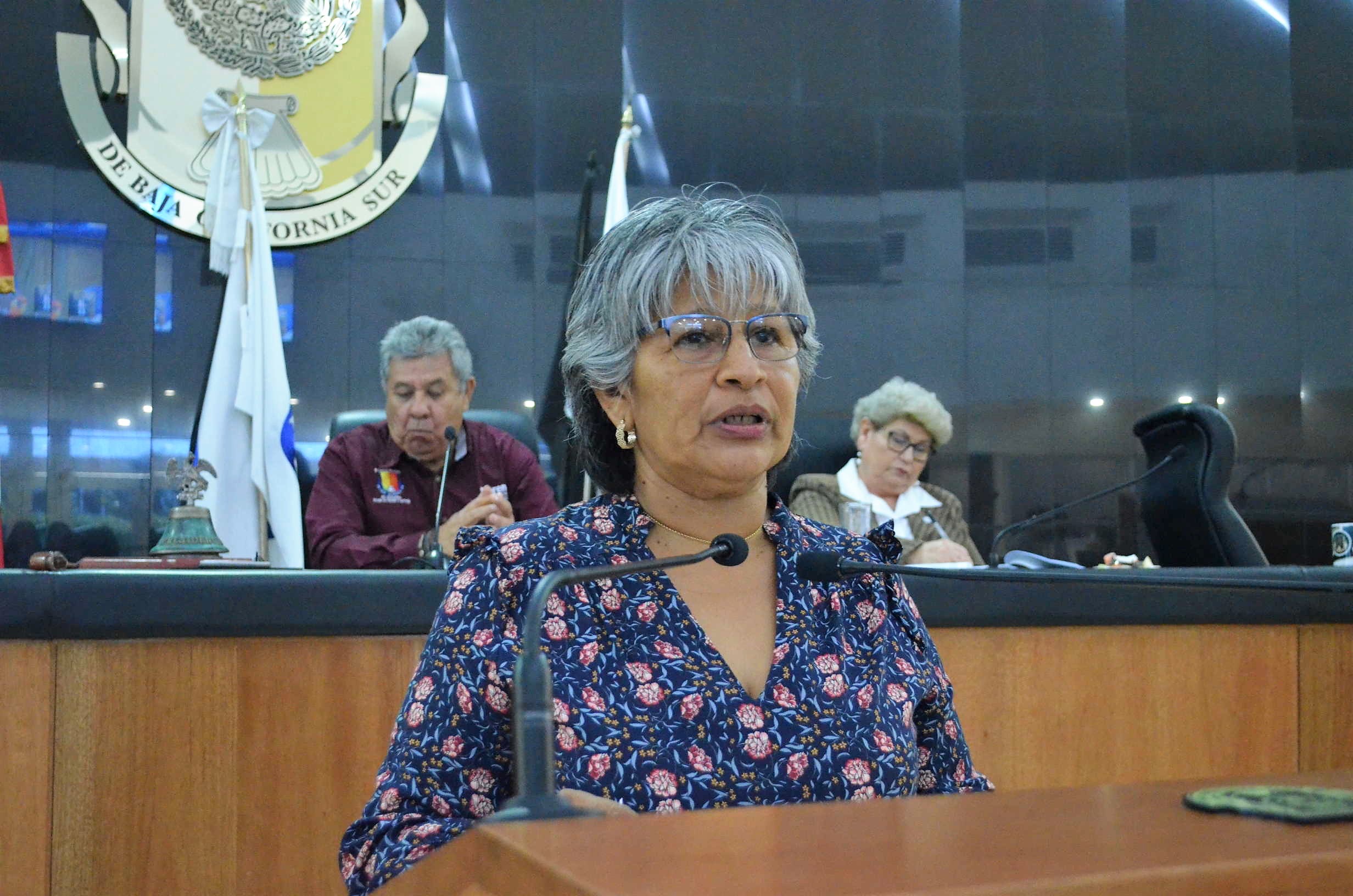 Que Cámara de Diputados apruebe reformas al ISSSTE: Congreso