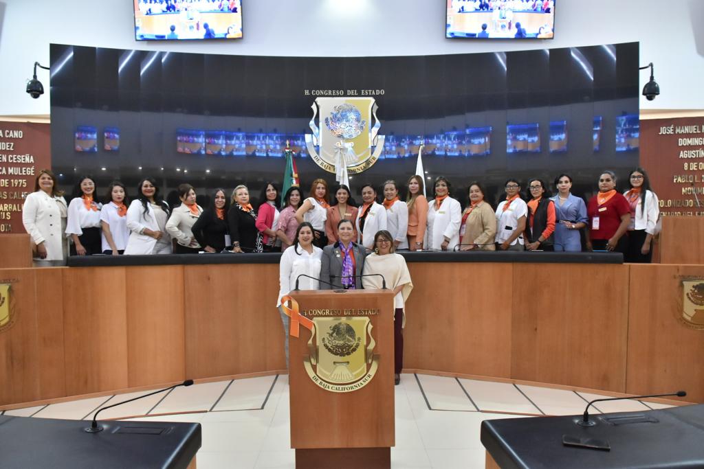 Mayores penas para castigar delitos contra la mujer, propone Parlamento de Mujeres BCS