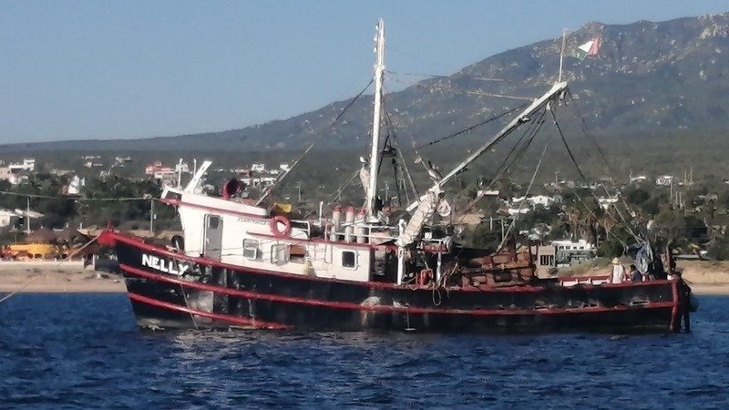 Denuncian presencia de barcos camaroneros en Isla Cerralvo, La Ventana y Boca del Álamo