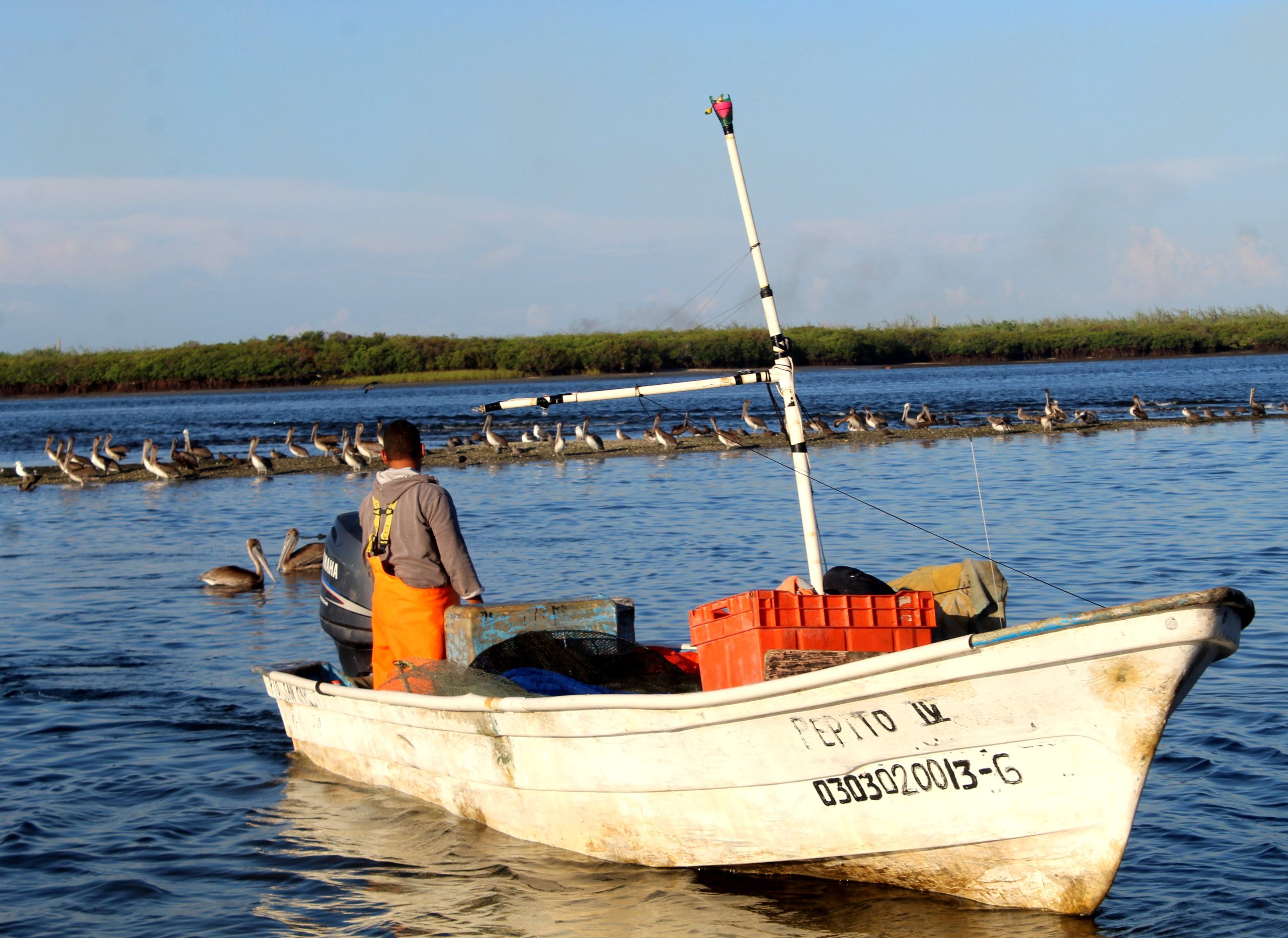 2,054 son beneficiarios del Seguro de Vida para Pescadores en BCS