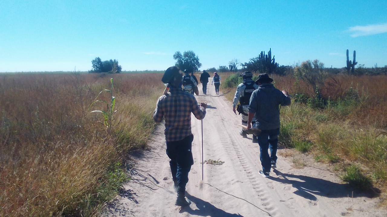 En el último bimestre, realizaron 18 búsquedas en los 5 municipios de BCS