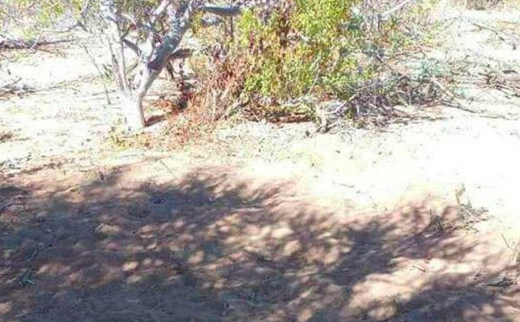 Hallan fosa clandestina con dos osamentas en playa El Saltito