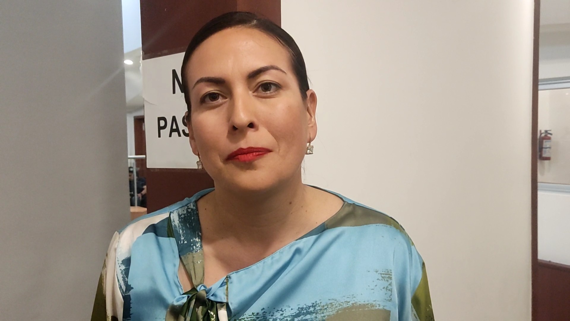 “Problemas jurídicos” impiden POEL: Milena Quiroga