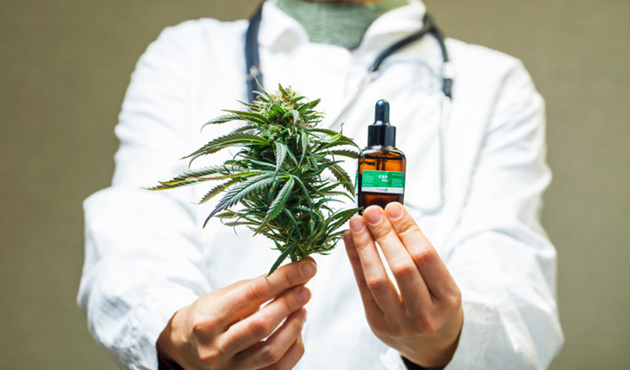 Xebra Brand producirá mariguana en México: un hito para la legalización