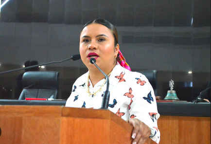 Pide la diputada Guadalupe Vázquez mayores recursos para seguridad en BCS
