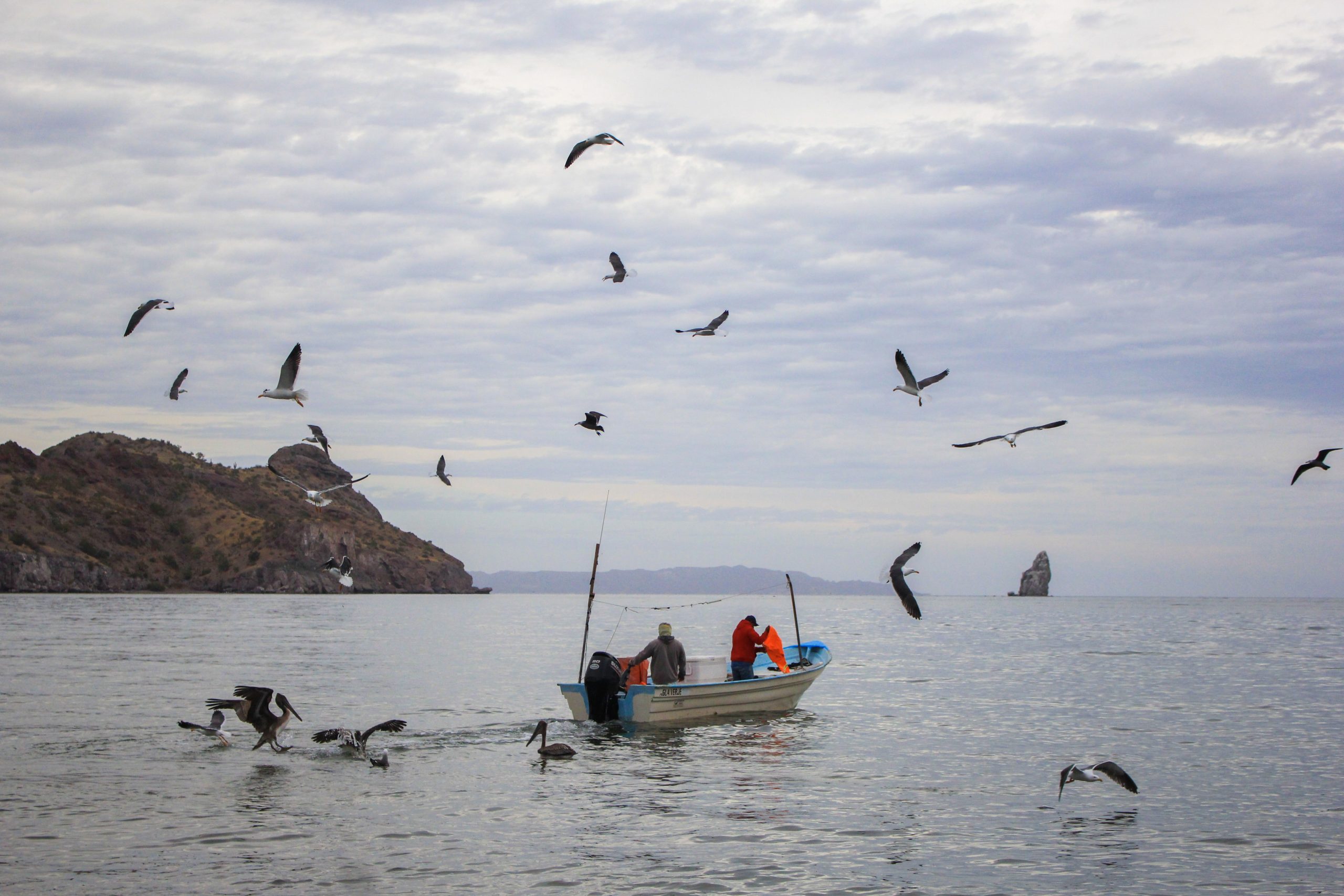 Refugios pesqueros, el esfuerzo solitario de los pescadores en el Corredor San Cosme-Punta Coyote