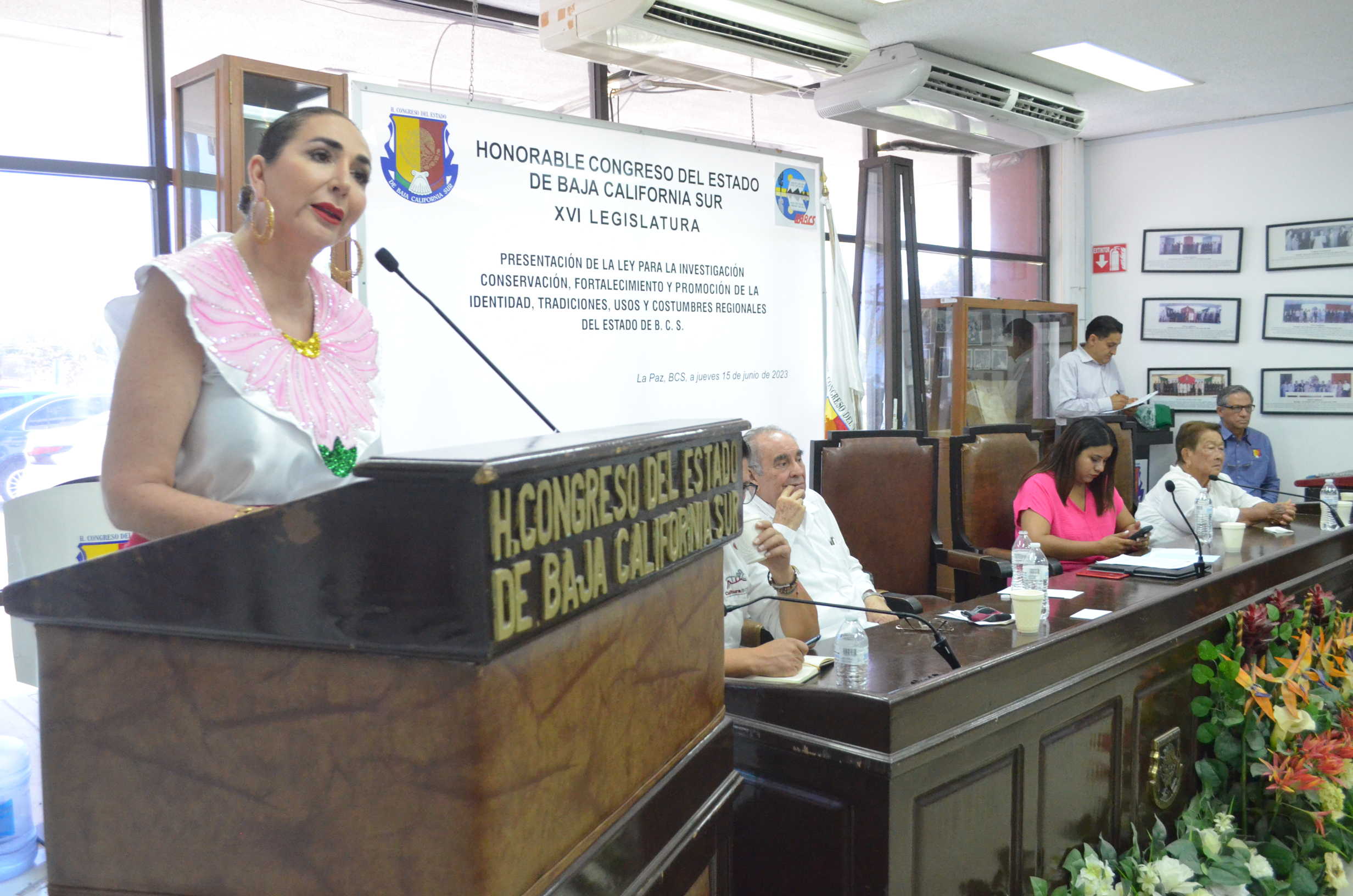 Propone diputada creación de Ley Cultural