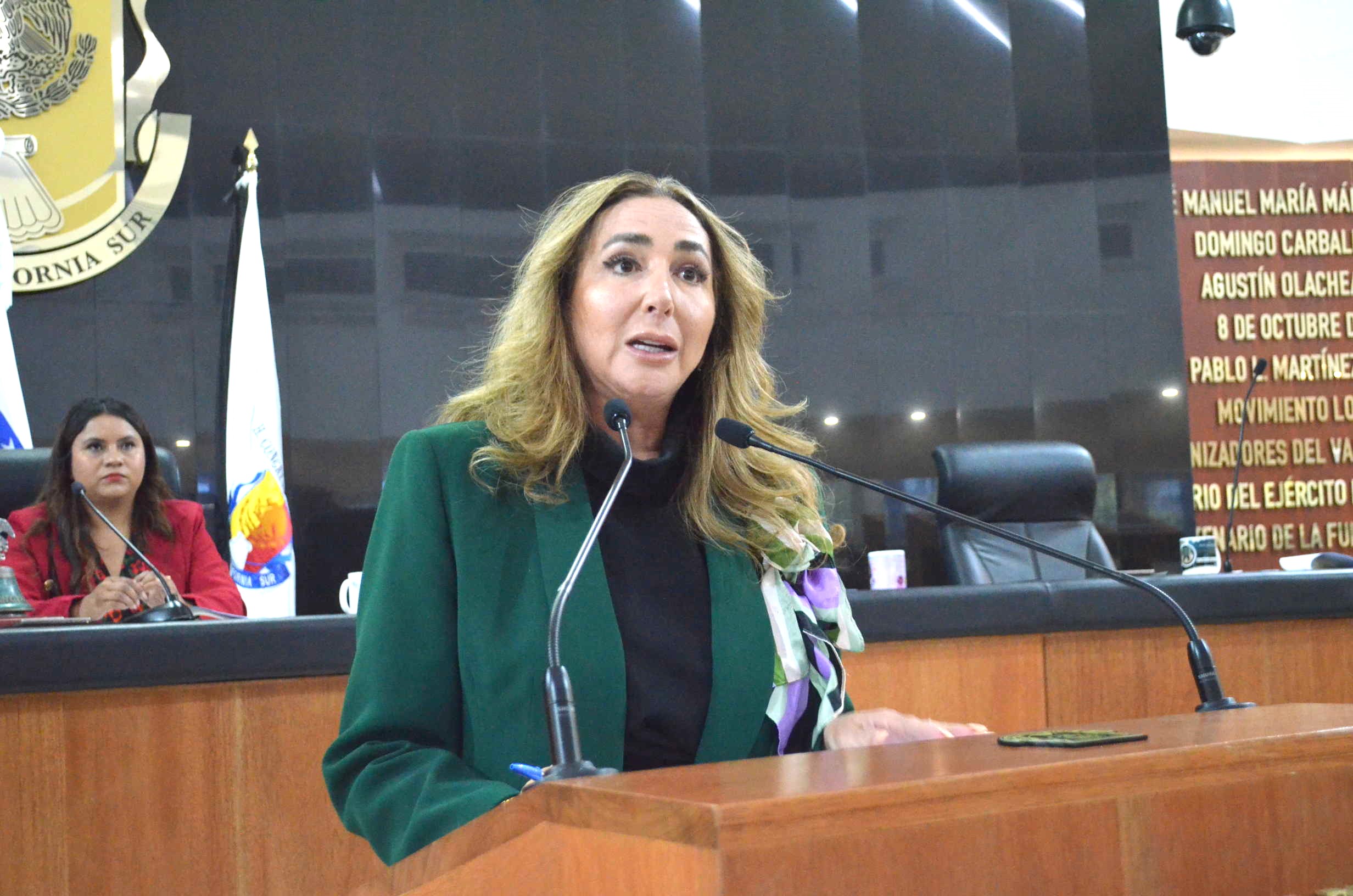 Solicita diputada programa urgente de prevención de accidentes en Los Cabos￼