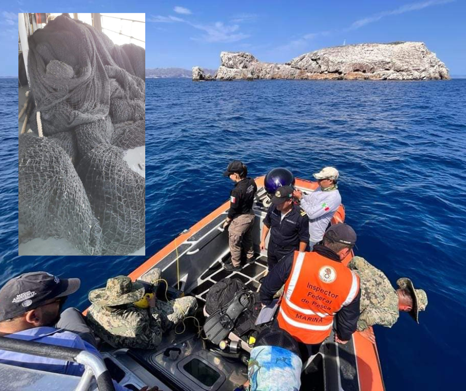 Retiran más de seiscientos metros de red pesquera que dañaba el ecosistema en La Ventana