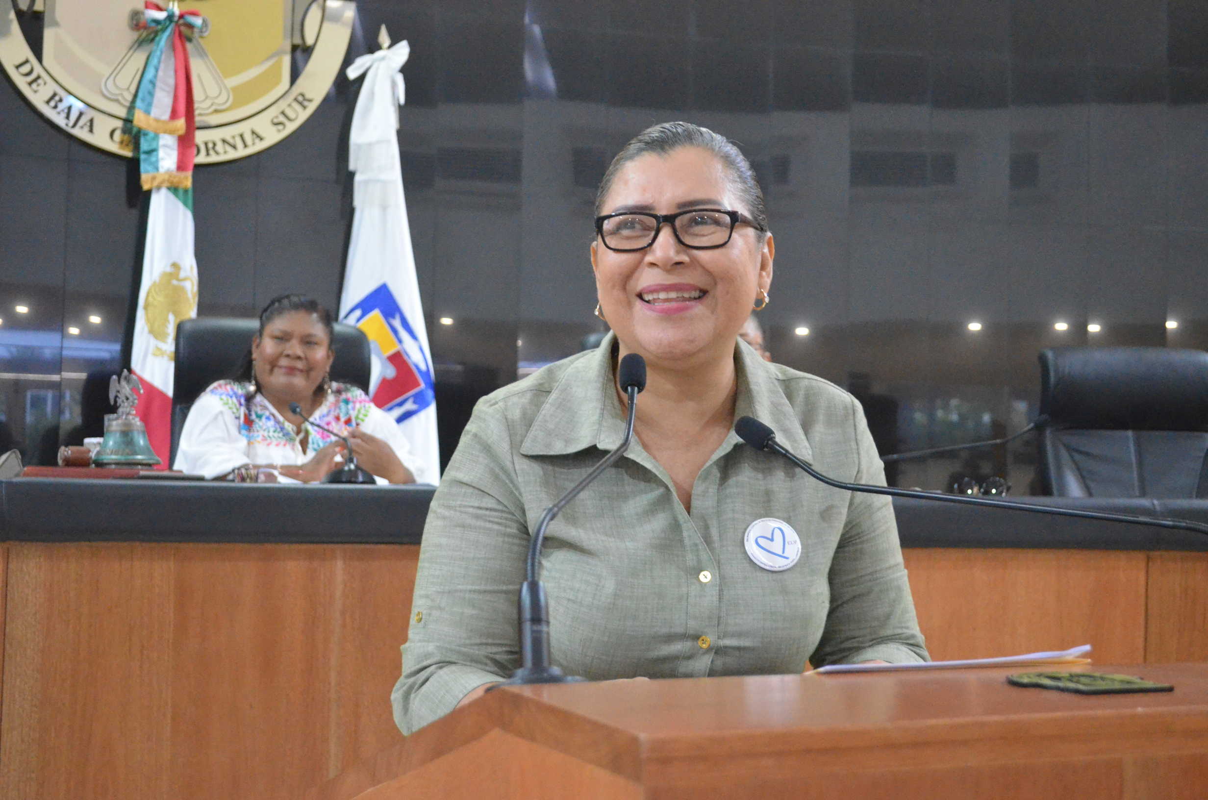 Cuestiona Ojeda González inactividad del sistema estatal contra la vioelncia hacia las mujeres