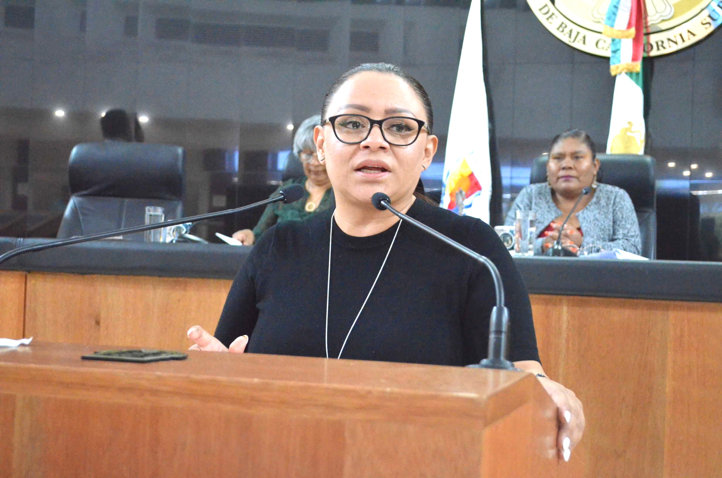 Llama Diputada Paz Ochoa a CENACE y CFE a emprender acciones que mejoren el servicio y suministro de energía eléctrica en Loreto