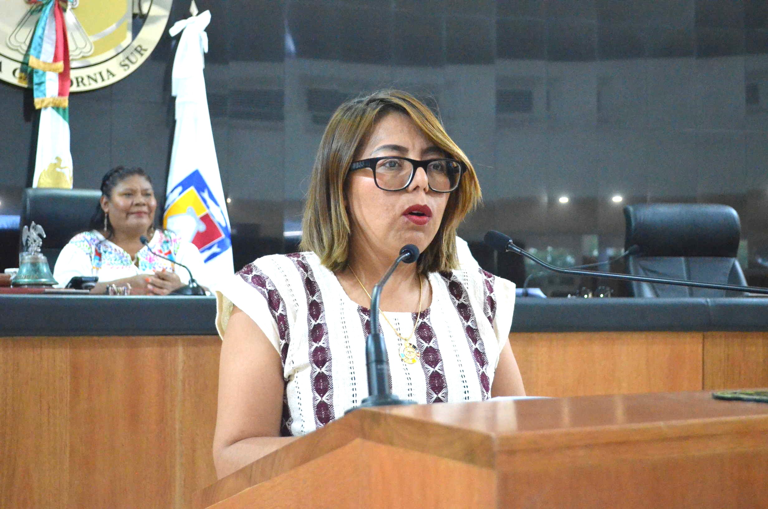 Derechos de cuidadores y trabajadoras del hogar deben ser Ley: Comisión de Igualdad