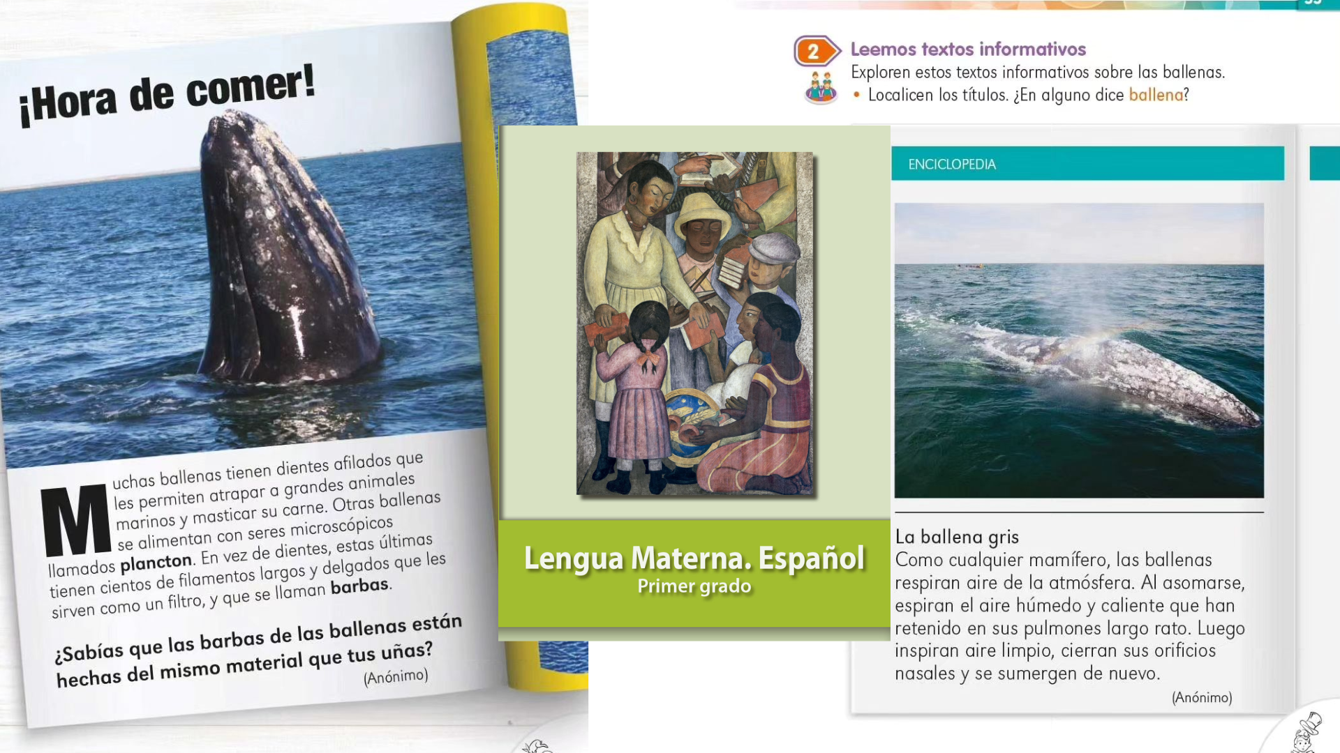 Desde 1er año: Libros de Texto tratan la biodiversidad sudcaliforniana