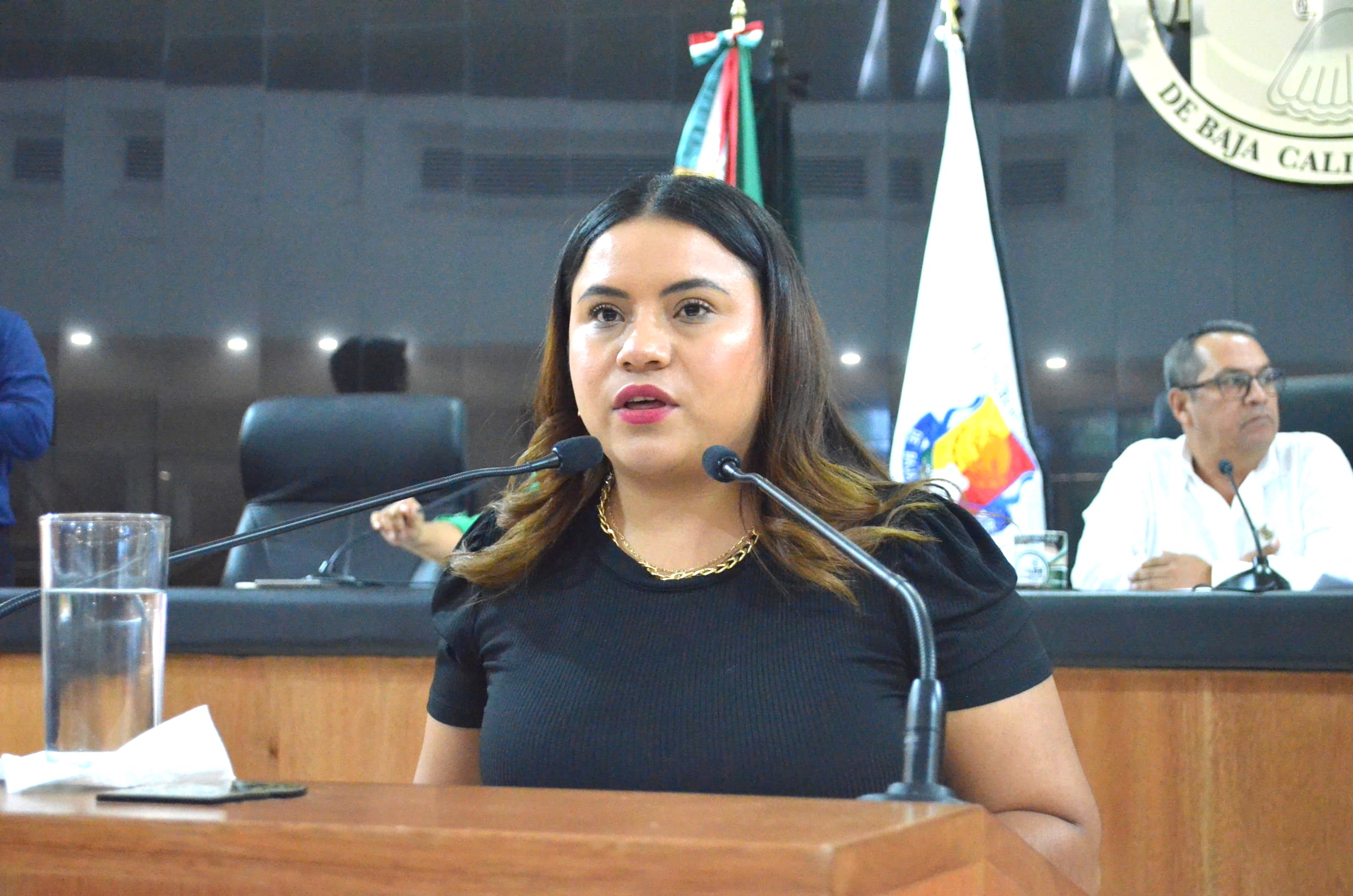 Propone diputada que Medallas de la juventud incluyan Diversidad Sexual y Participación Política
