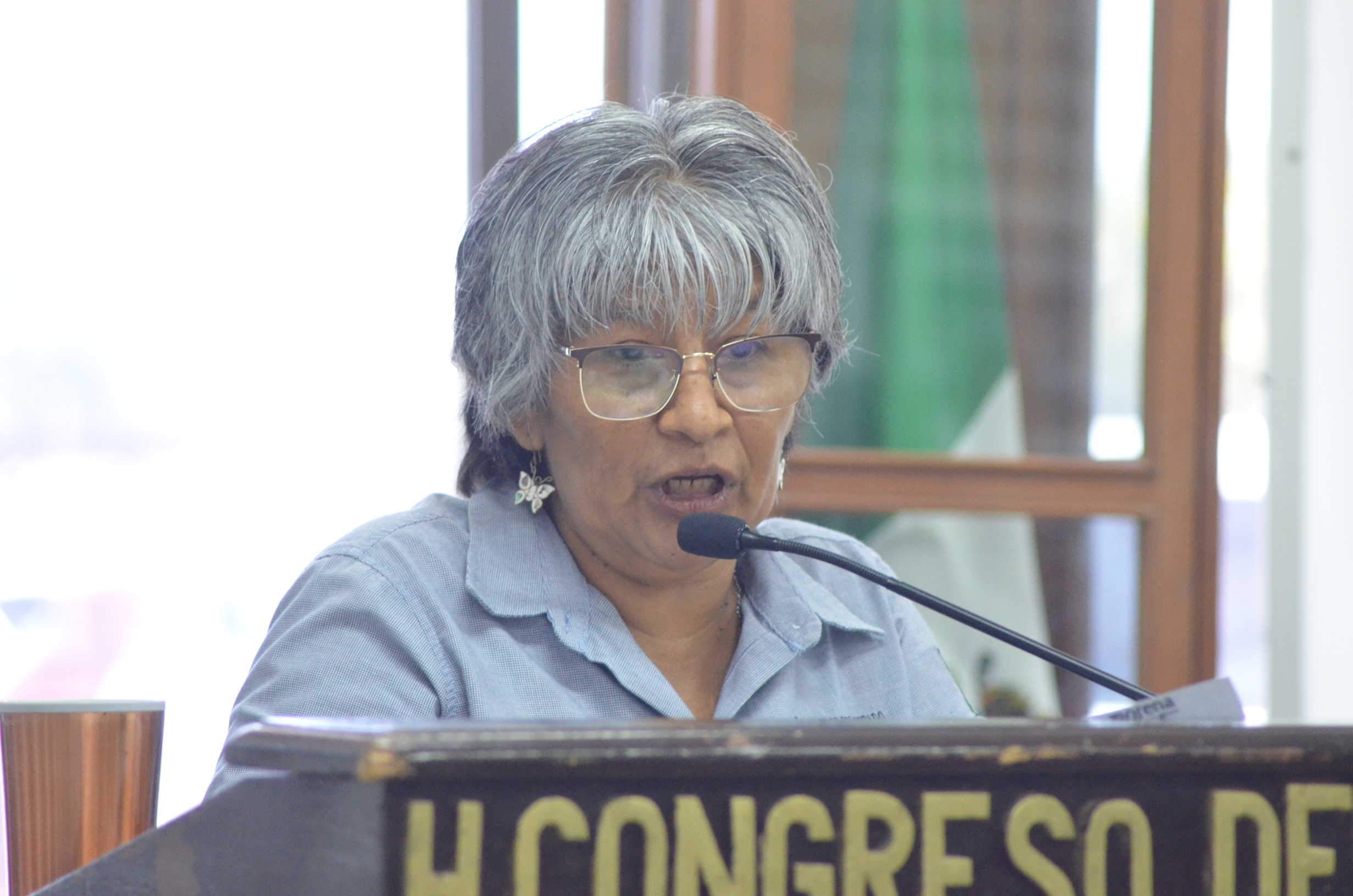 Se pronuncian diputadas morenistas a favor de los libros de texto gratuitos del ciclo escolar 2023-2024