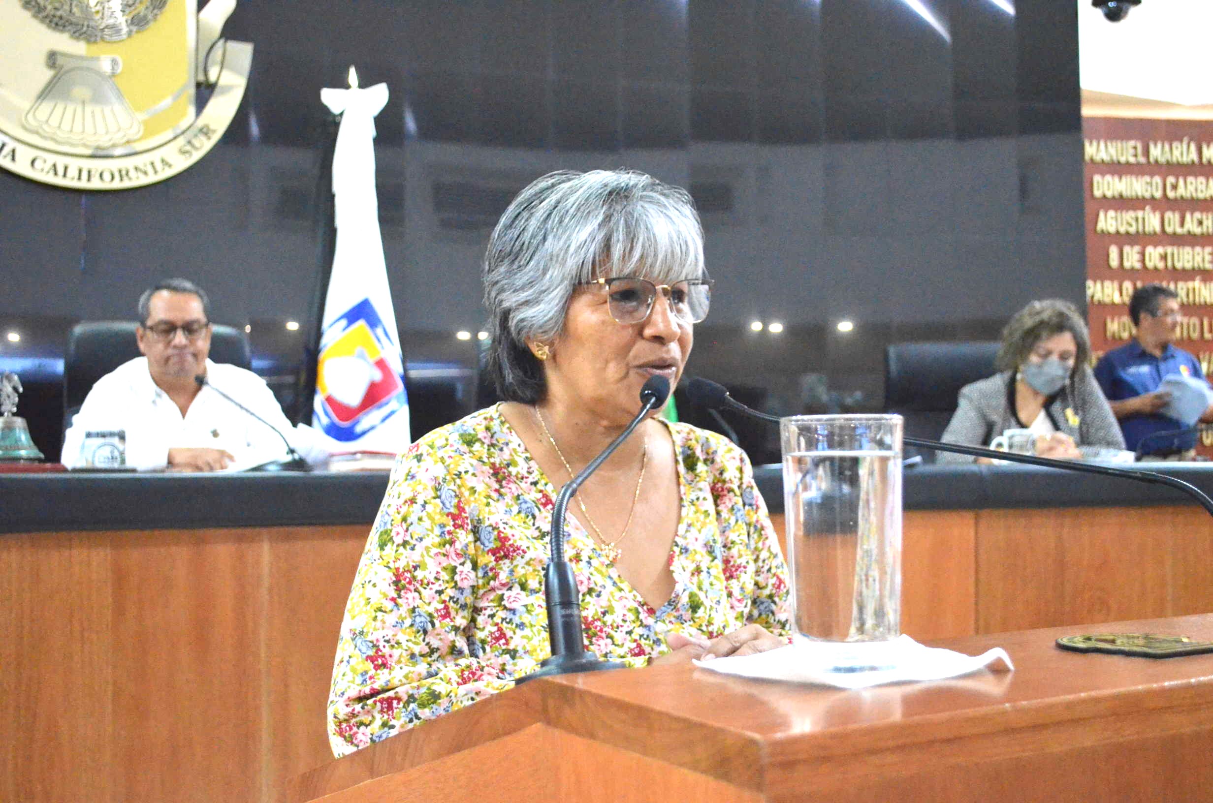 Propone diputada María Luisa Trejo reformas a beneficio de las fuerzas de seguridad