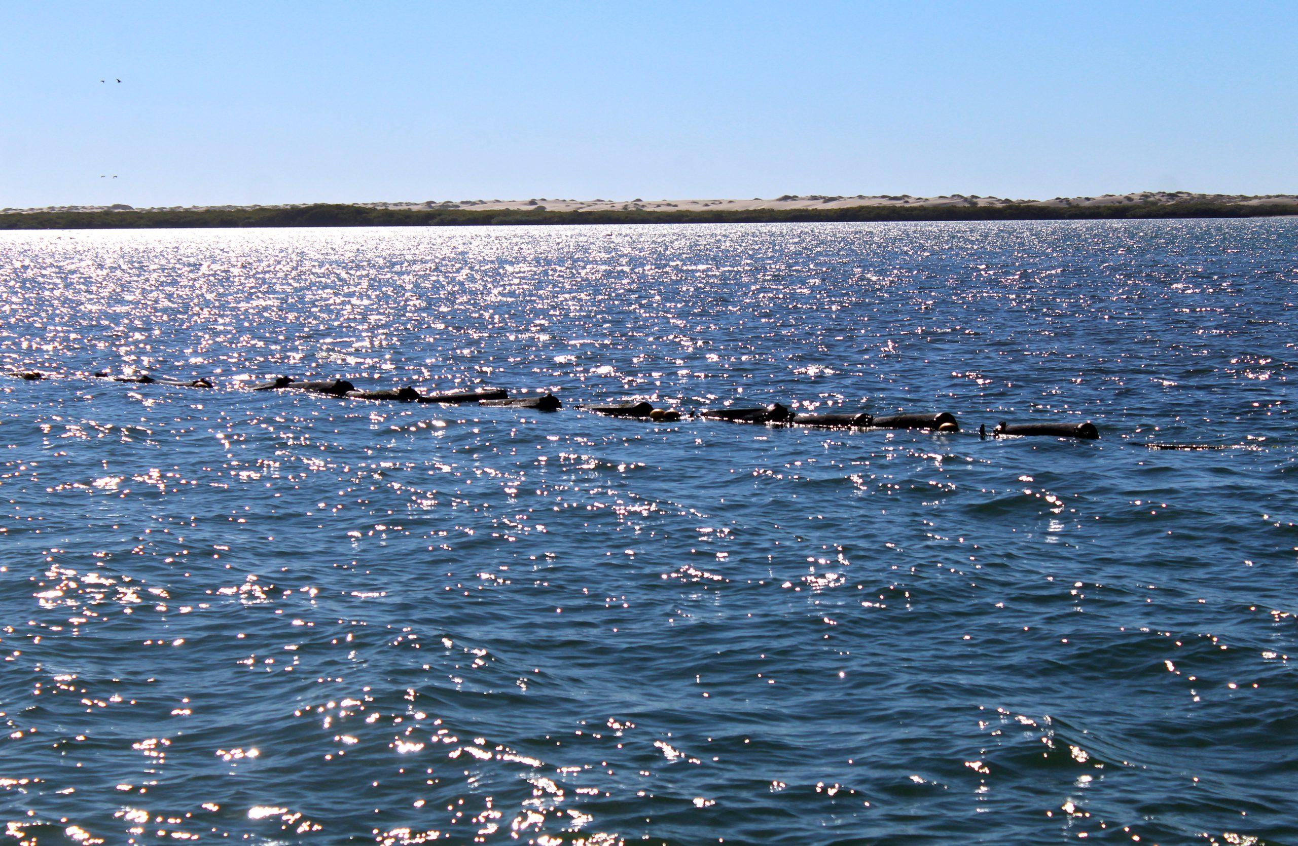 Certifican cuerpos de agua de la zona norte de BCS
