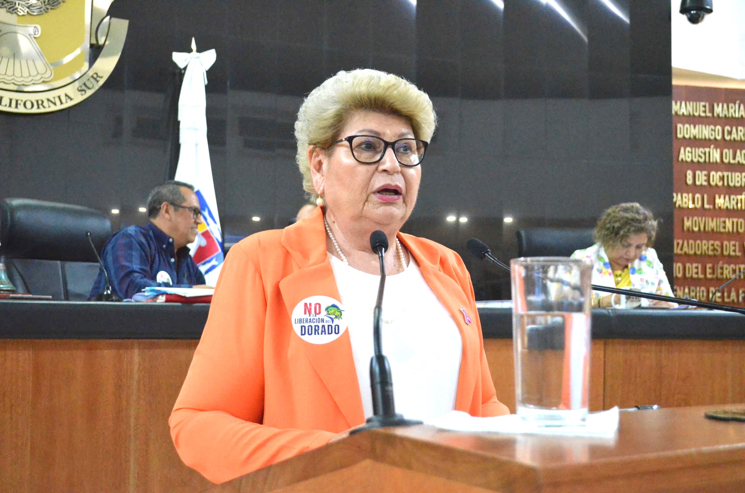 Propone Diputada del PAN «Ley Monzón» para Baja California Sur