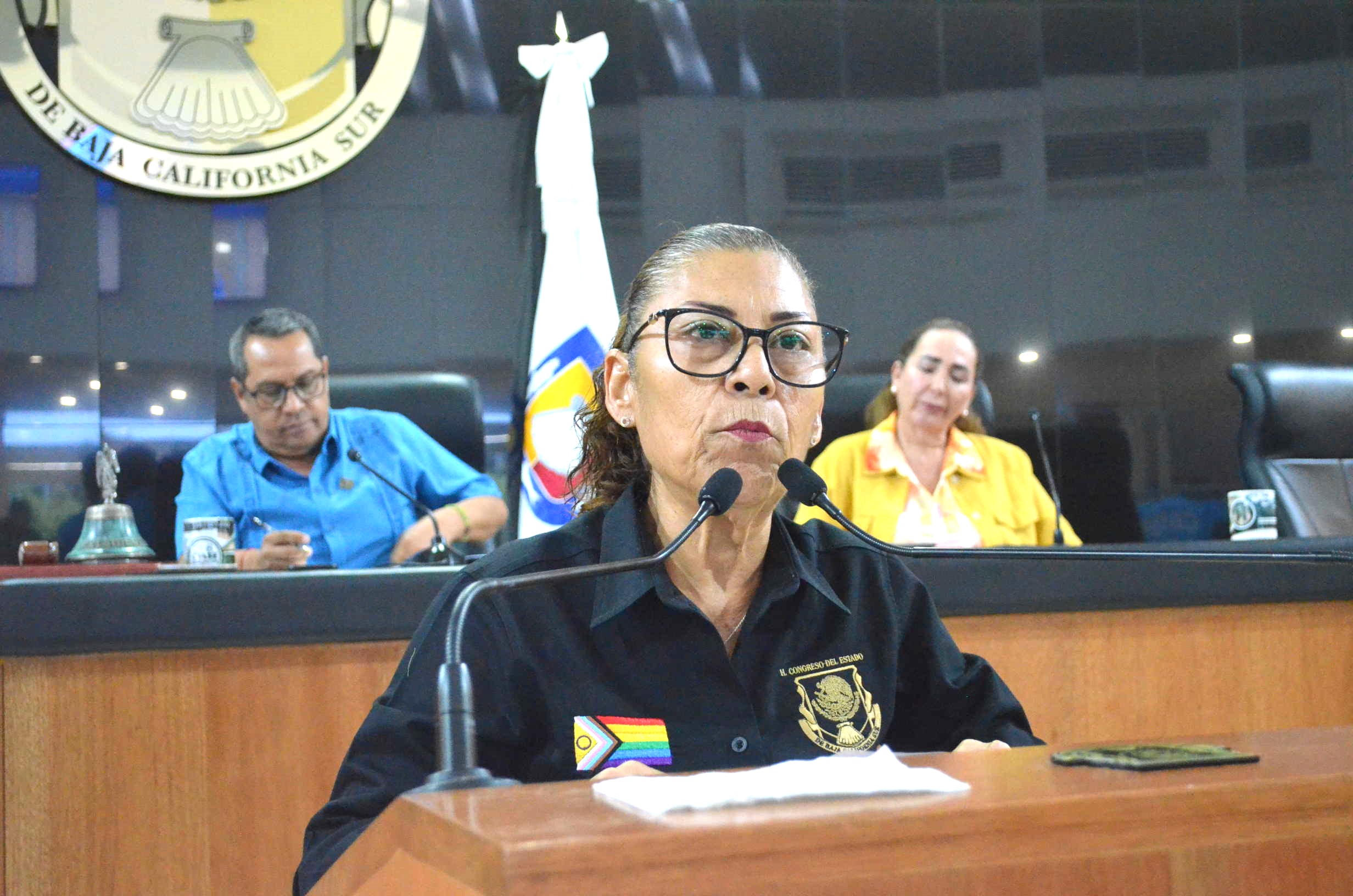 Presenta diputada Guadalupe Moreno reformar Centros de Justicia para las Mujeres