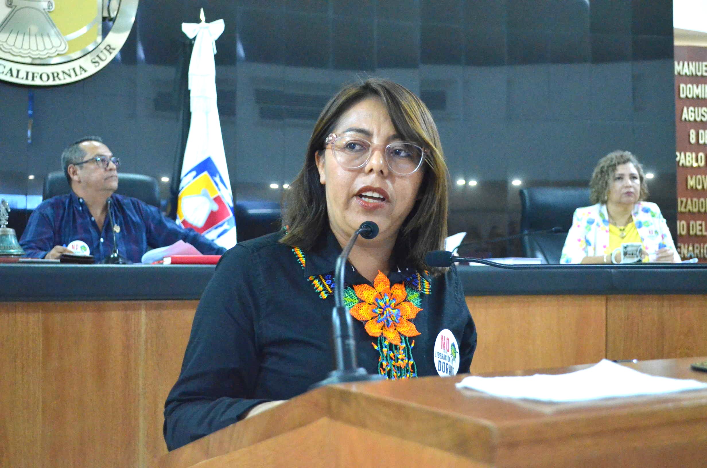 Pide Congreso a Bienestar en BCS instalación oficina itinerantes en Mulegé