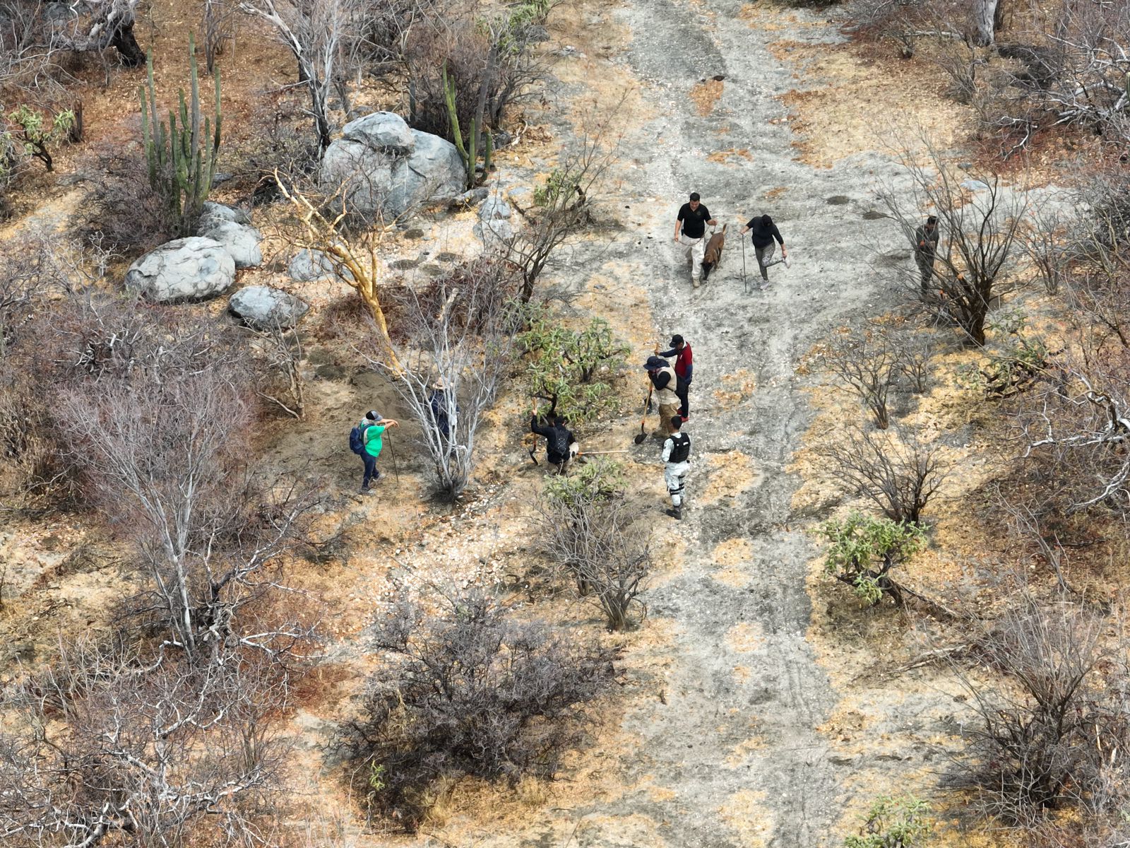 En BCS cumple 4 años la Comisión Estatal de Búsqueda de Personas