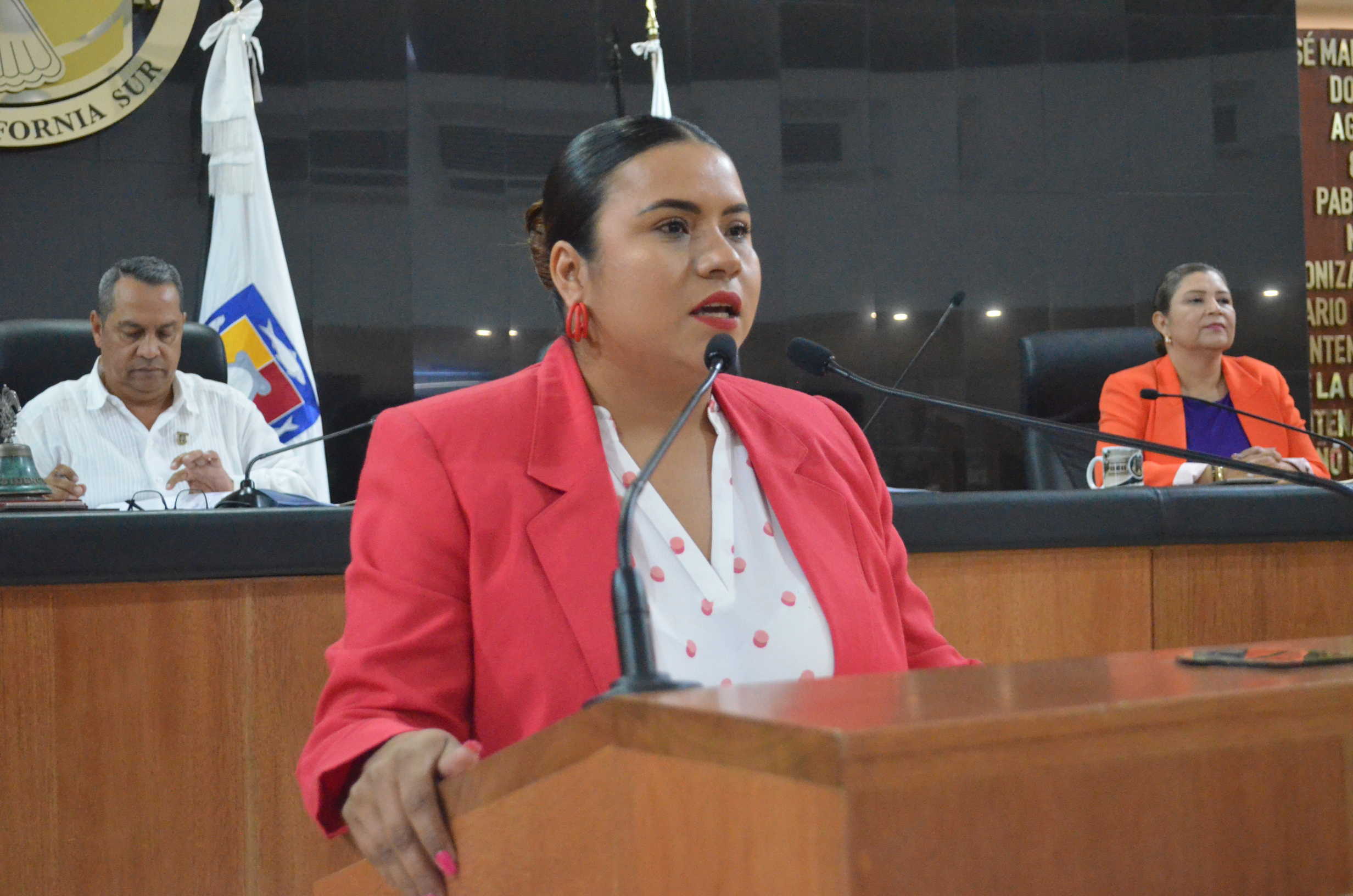 Proponen que desarrolladores donen cámaras para fortalecer seguridad en BCS