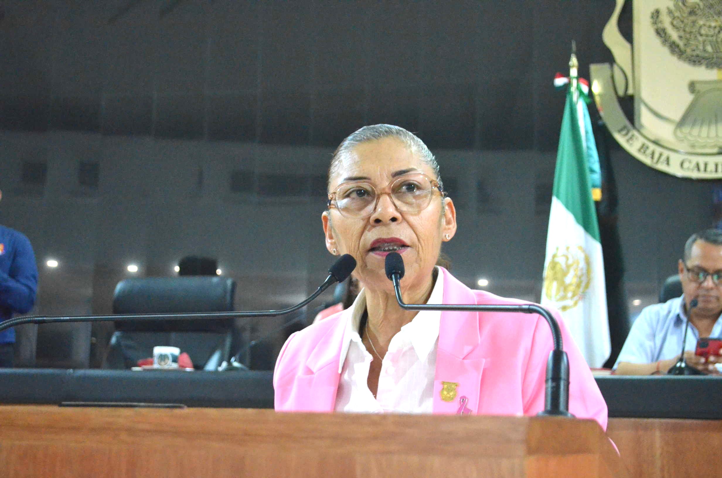 Diputada pide mastógrafo móvil para que recorra toda la geografía estatal