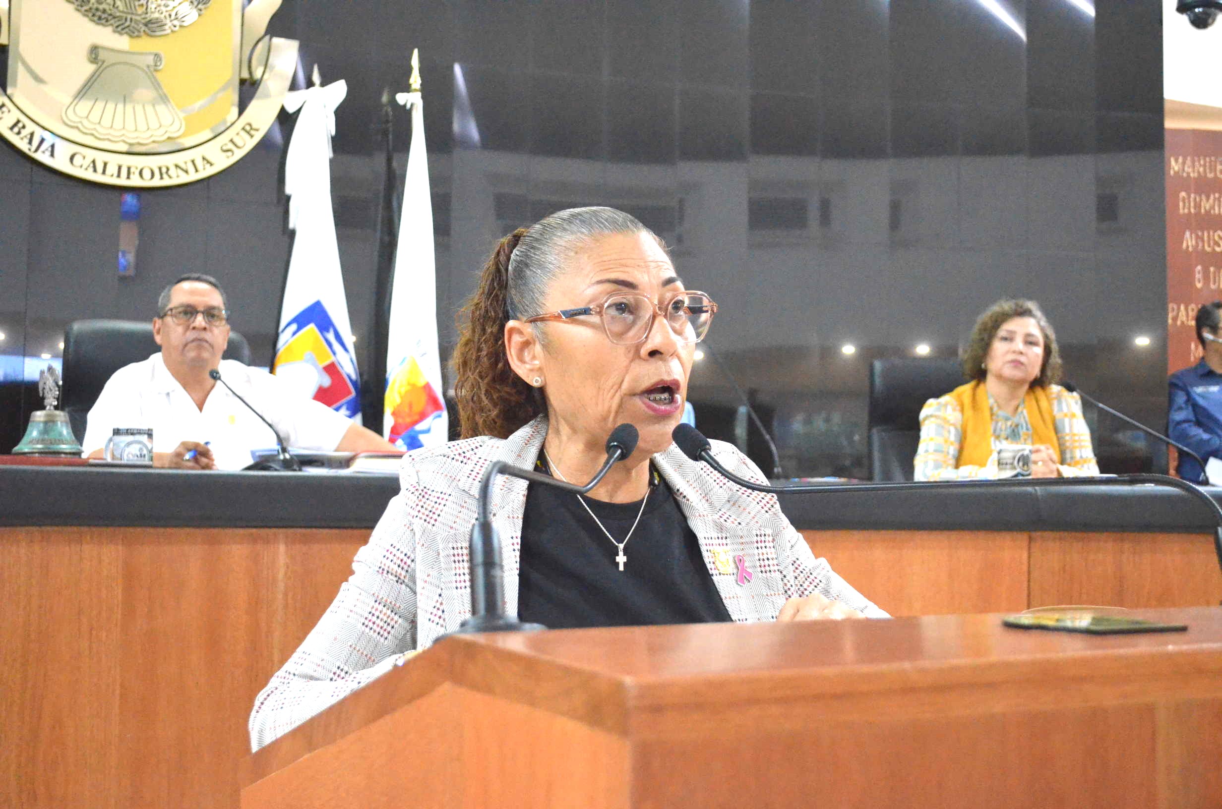 Exhortan diputados a fortalecer cobertura y prevención del cáncer