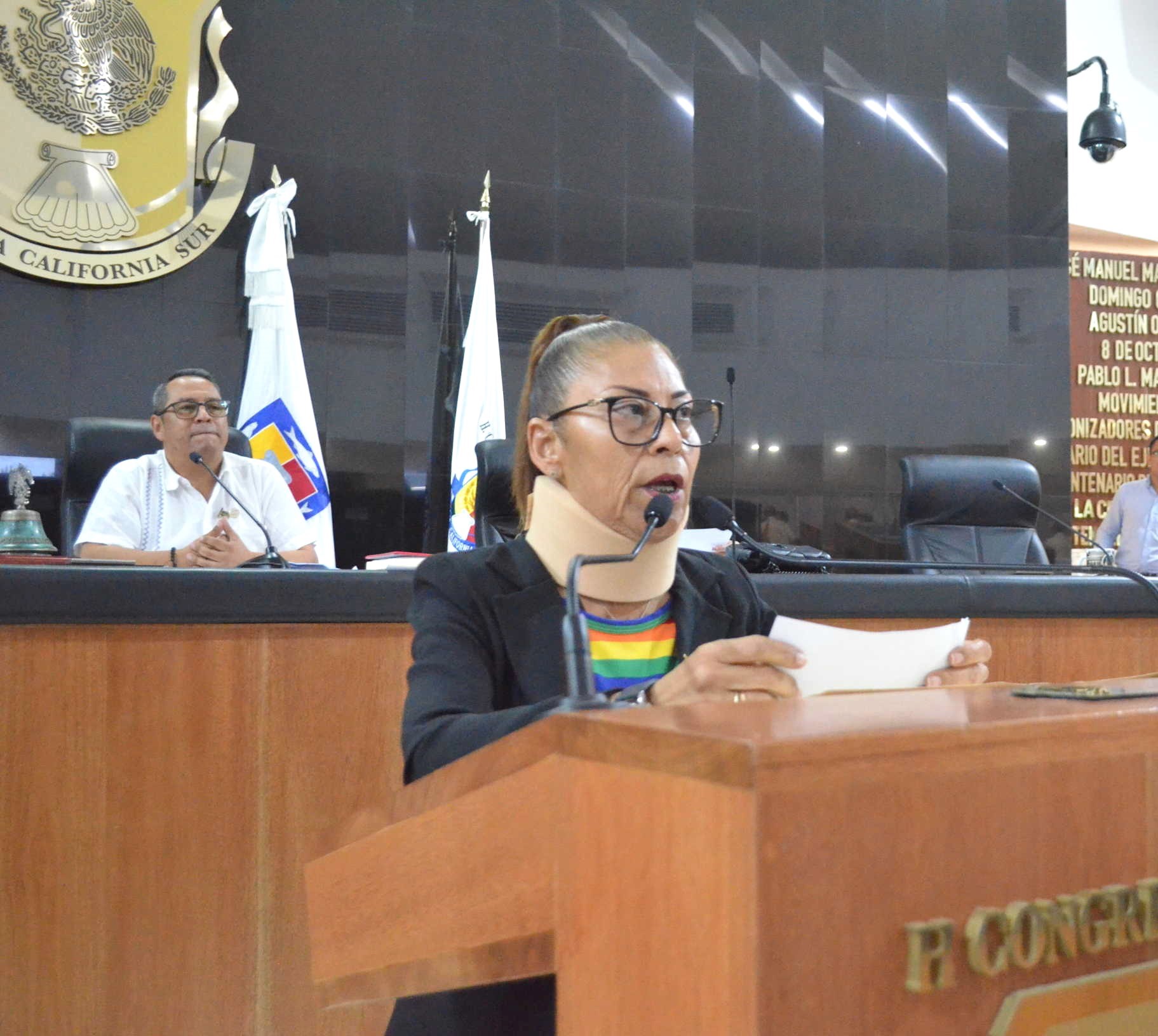 Propone diputada iniciativa para reglamentar el Instituto Sudcaliforniano de la Diversidad