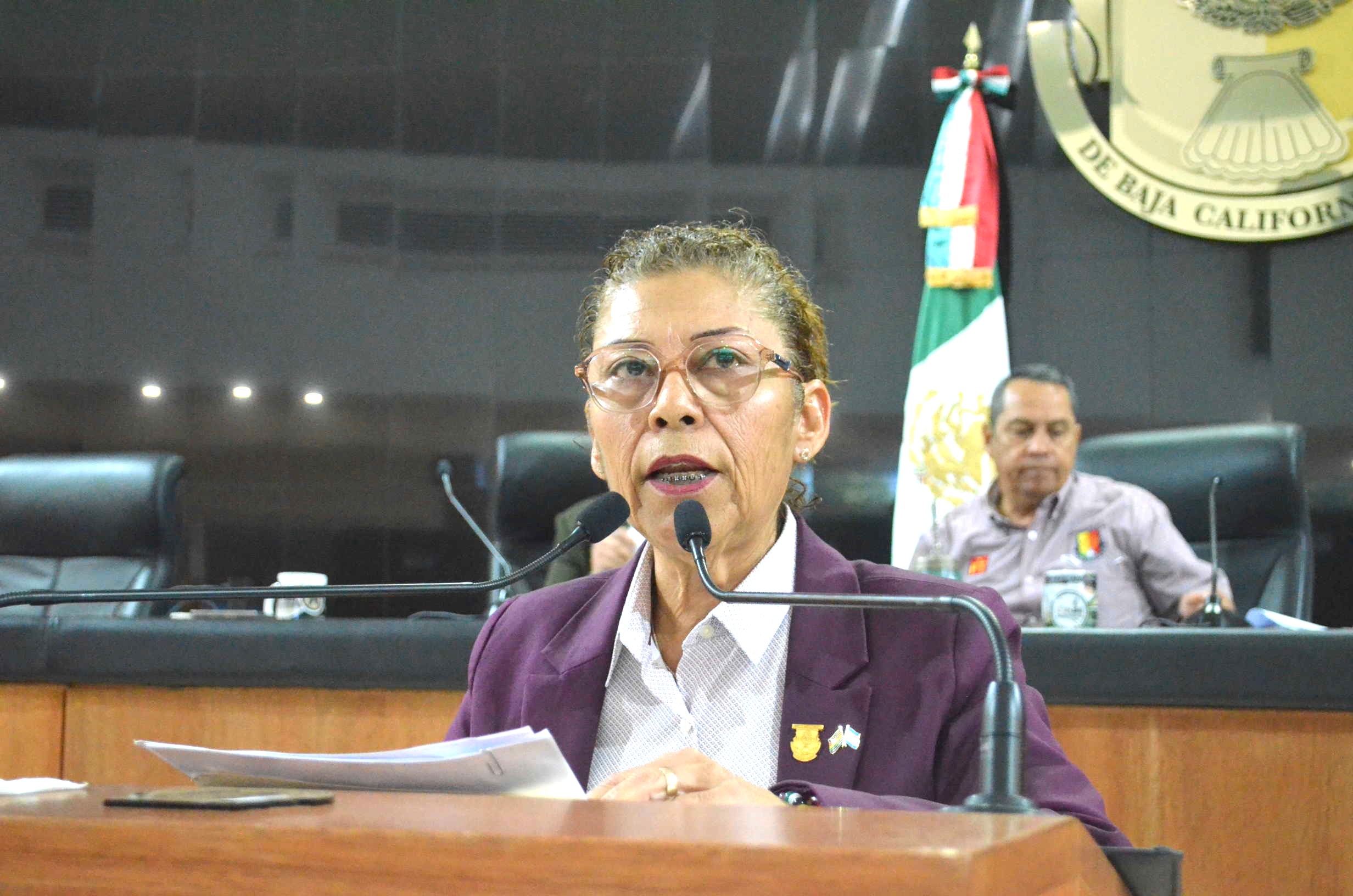 Continuará la lucha por la igualdad de derechos: Diputada Moreno Higuera