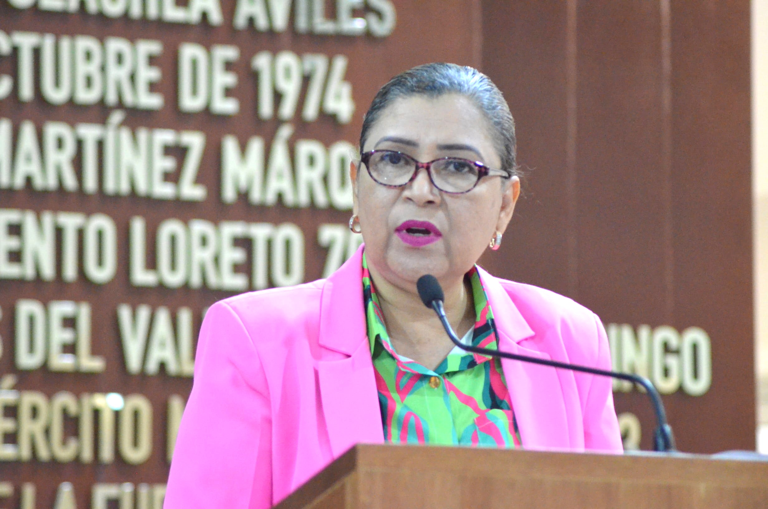 Diputada María Luisa Ojeda propone defensoría pública especializada en menores y género