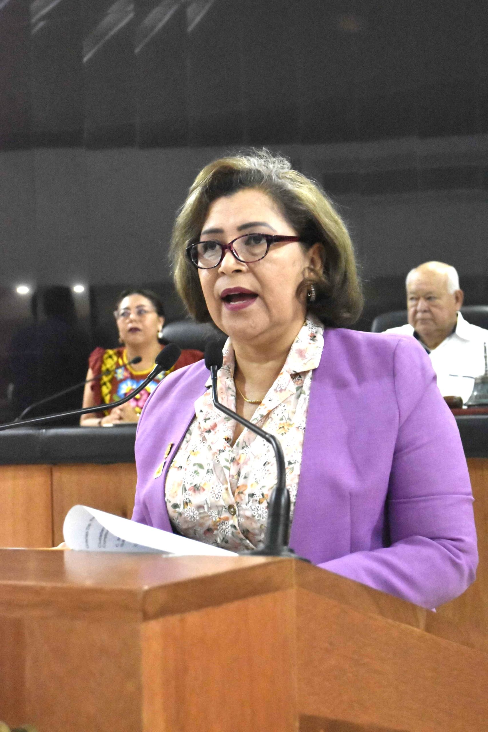 Que se cumpla Ley 3 de 3 para prevenir la violencia política de género: Ma. Luisa Ojeda