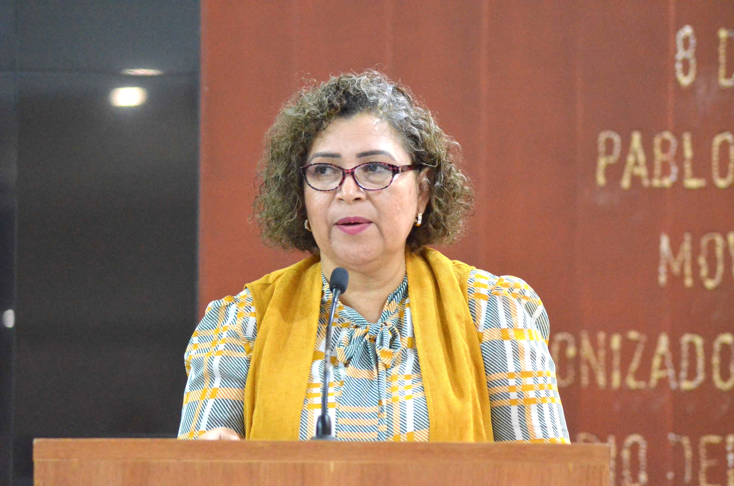 Antes de elecciones, registros de deudores y ley 3 de 3 deben ser operativos: Diputada del PRD