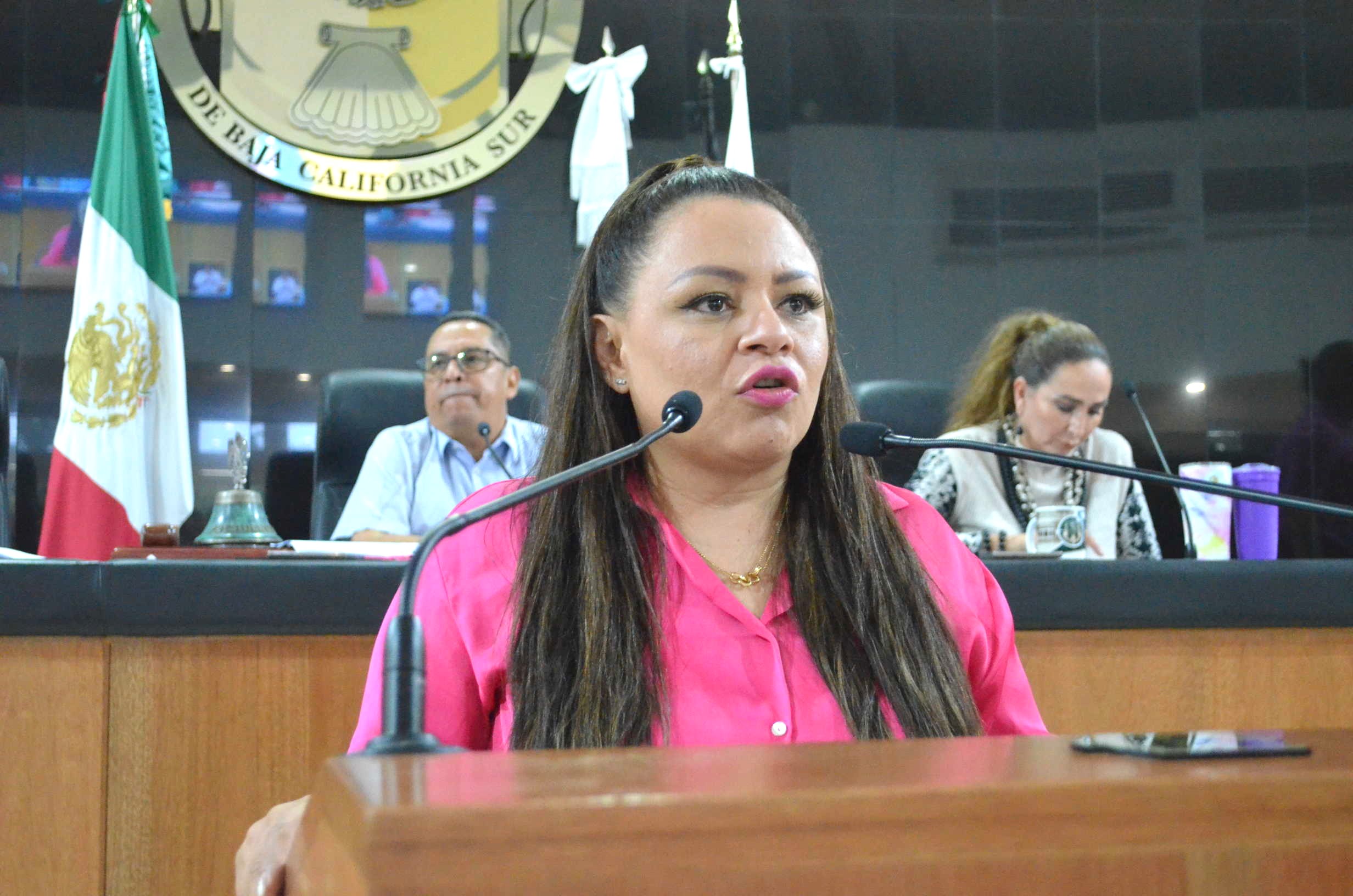 Úrge aplicar la inclusión como dicta la Ley Electoral: Paz Ochoa