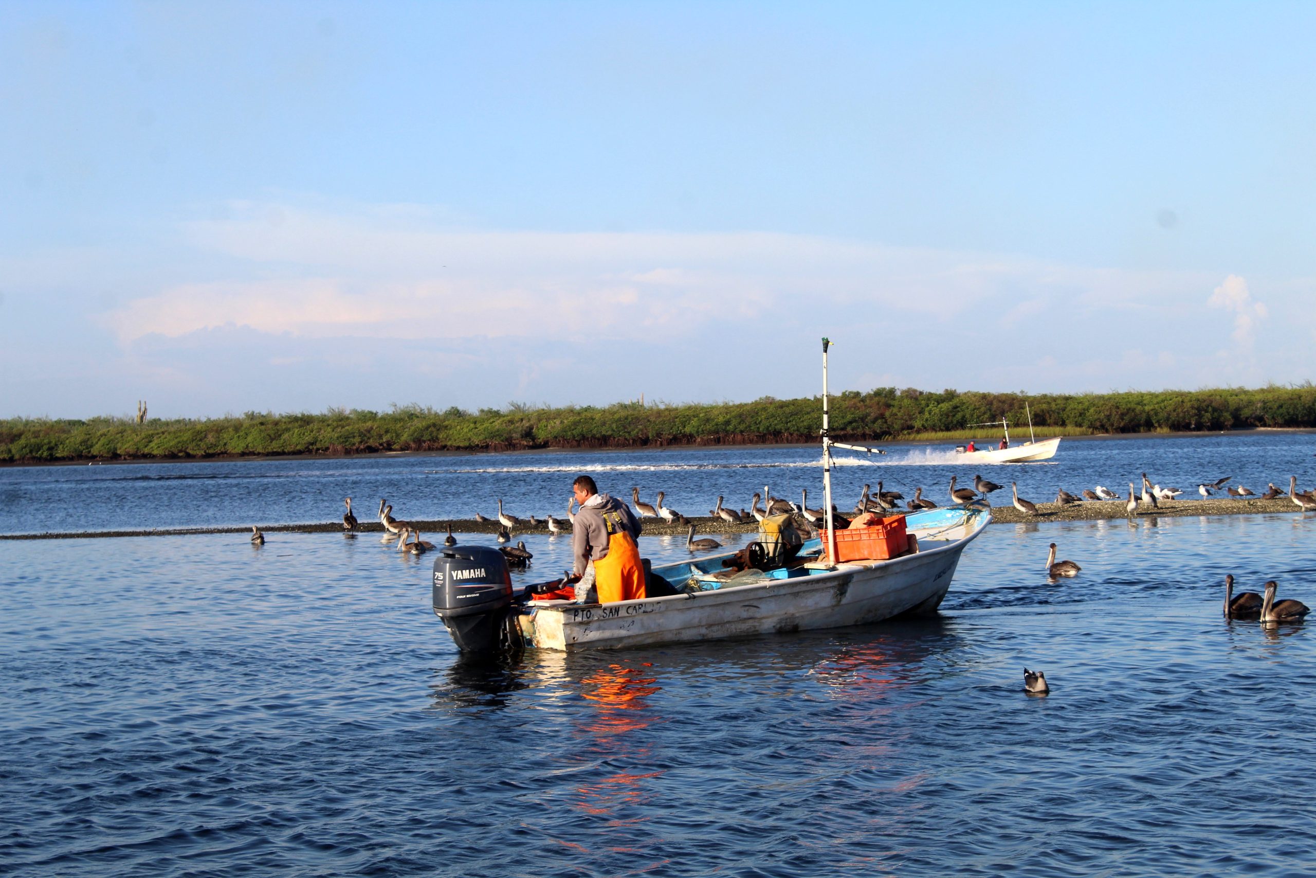 En BCS presentan propuesta del Programa Estatal de Ordenamiento Pesquero y Acuícola