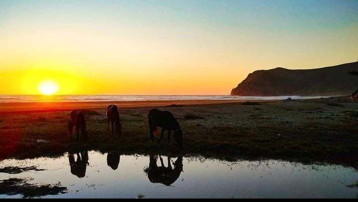 Pasaje literario por Sudcalifornia