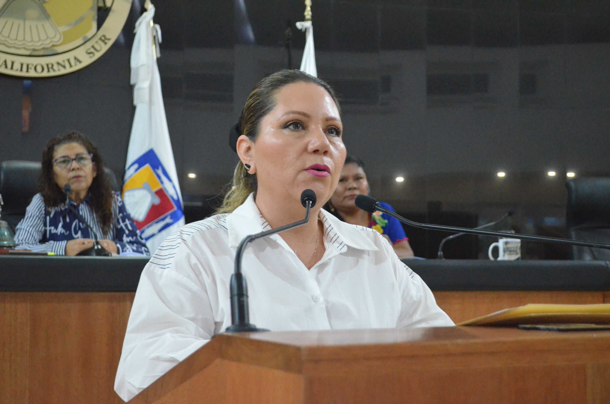 Permanente construcción de acuerdos para fortalecer la democracia: Diputada Marbella González