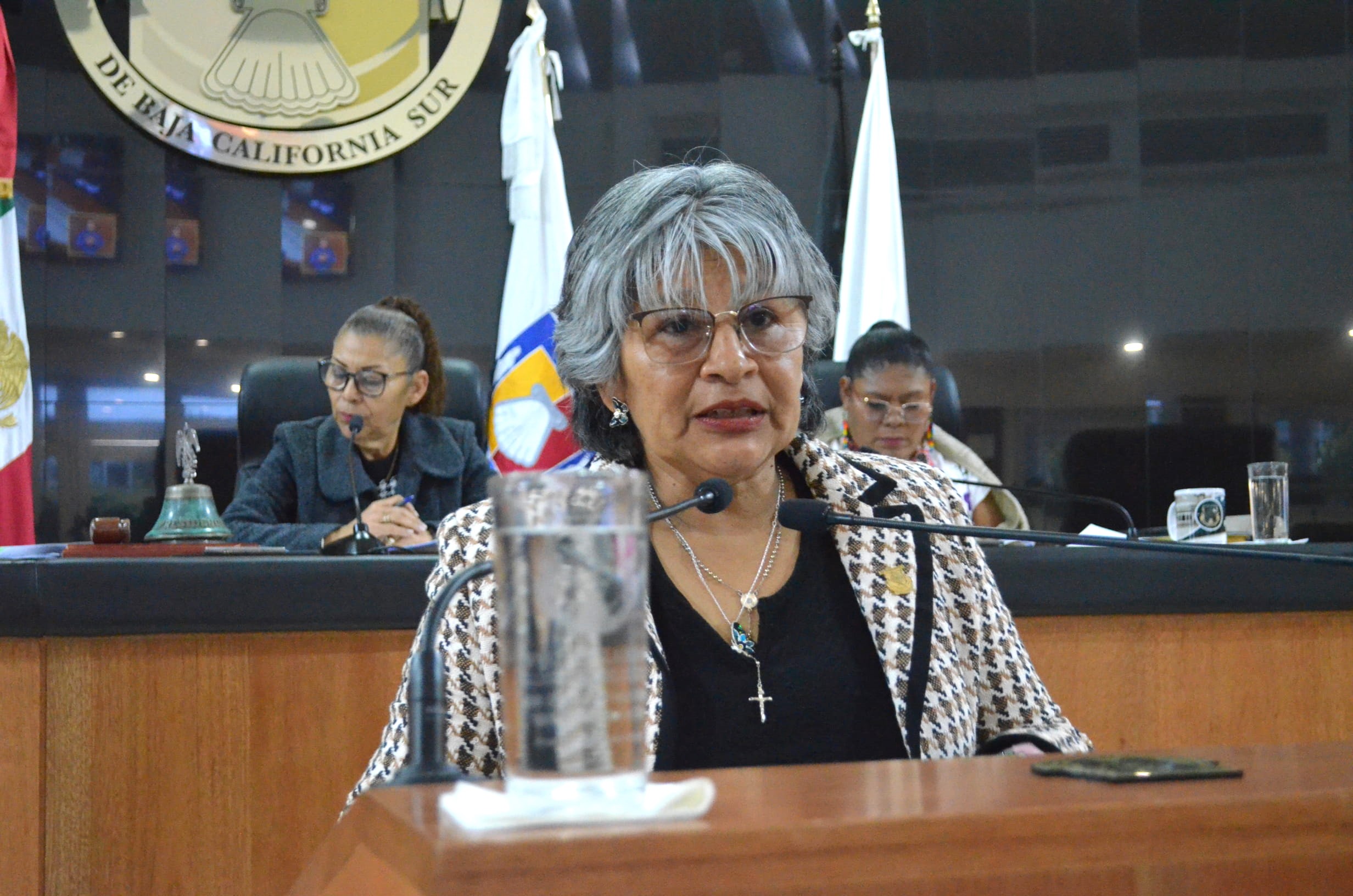 Diputadas de Morena Respaldan Iniciativas de Reforma de López Obrador