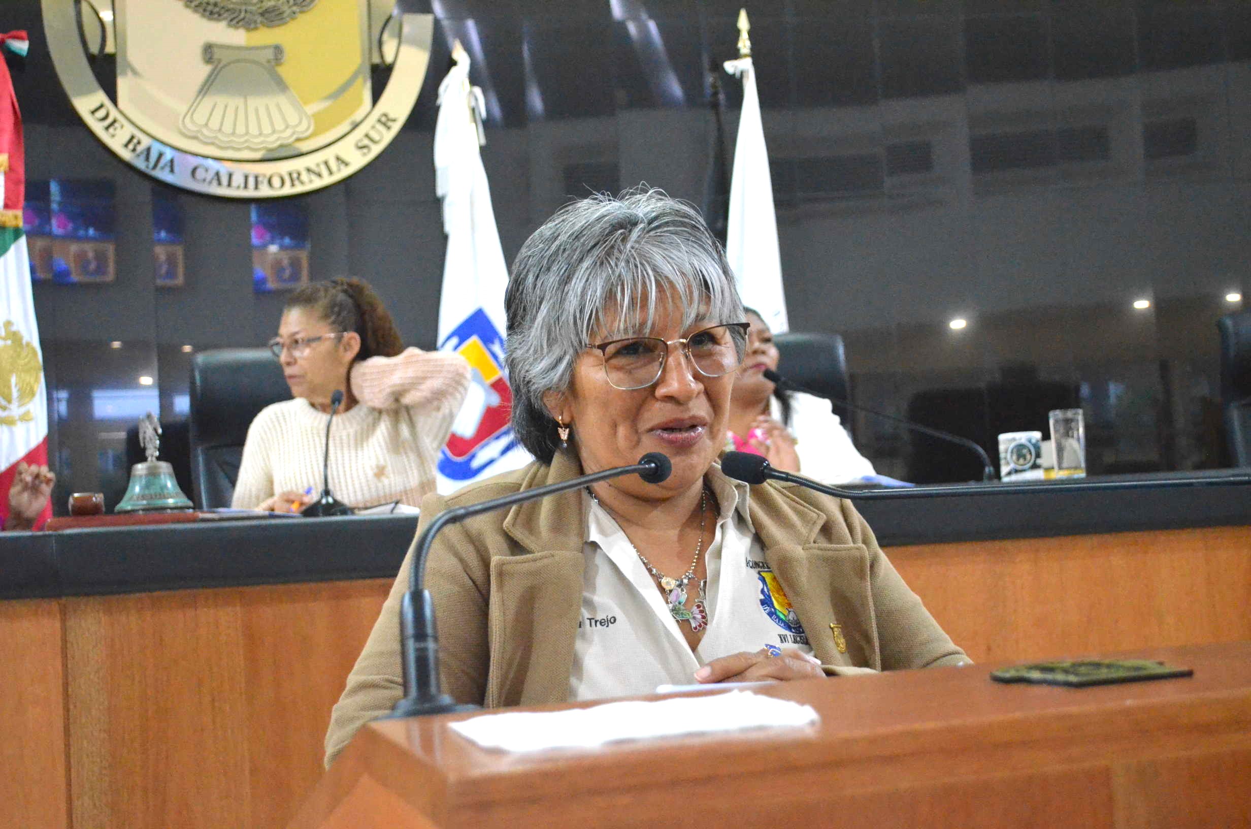 María Luisa Trejo Busca Elevar Requisitos y Transparencia en la Selección de la CEDHBCS