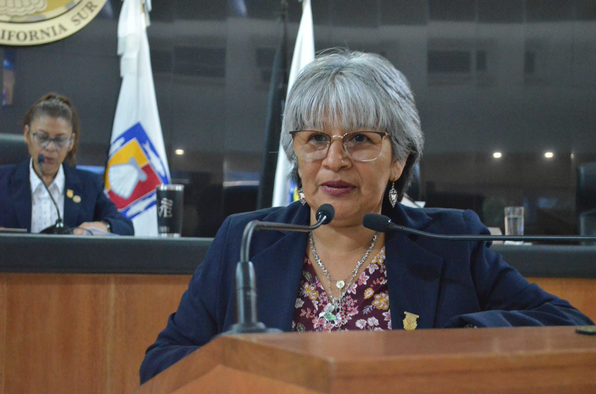 Ley Federal del Trabajo y IMSS favorecen a trabajadores rurales: Diputada Trejo Piñuelas