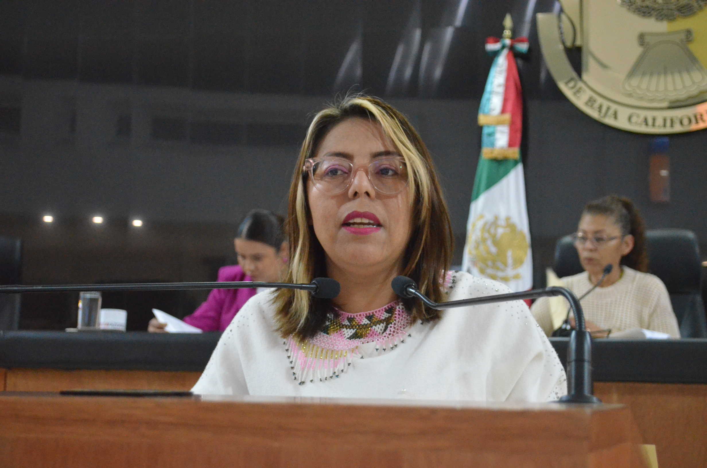 Urgen permisos para avistamiento de ballenas: Diputada Teresita de Jesús Valentín Vázquez