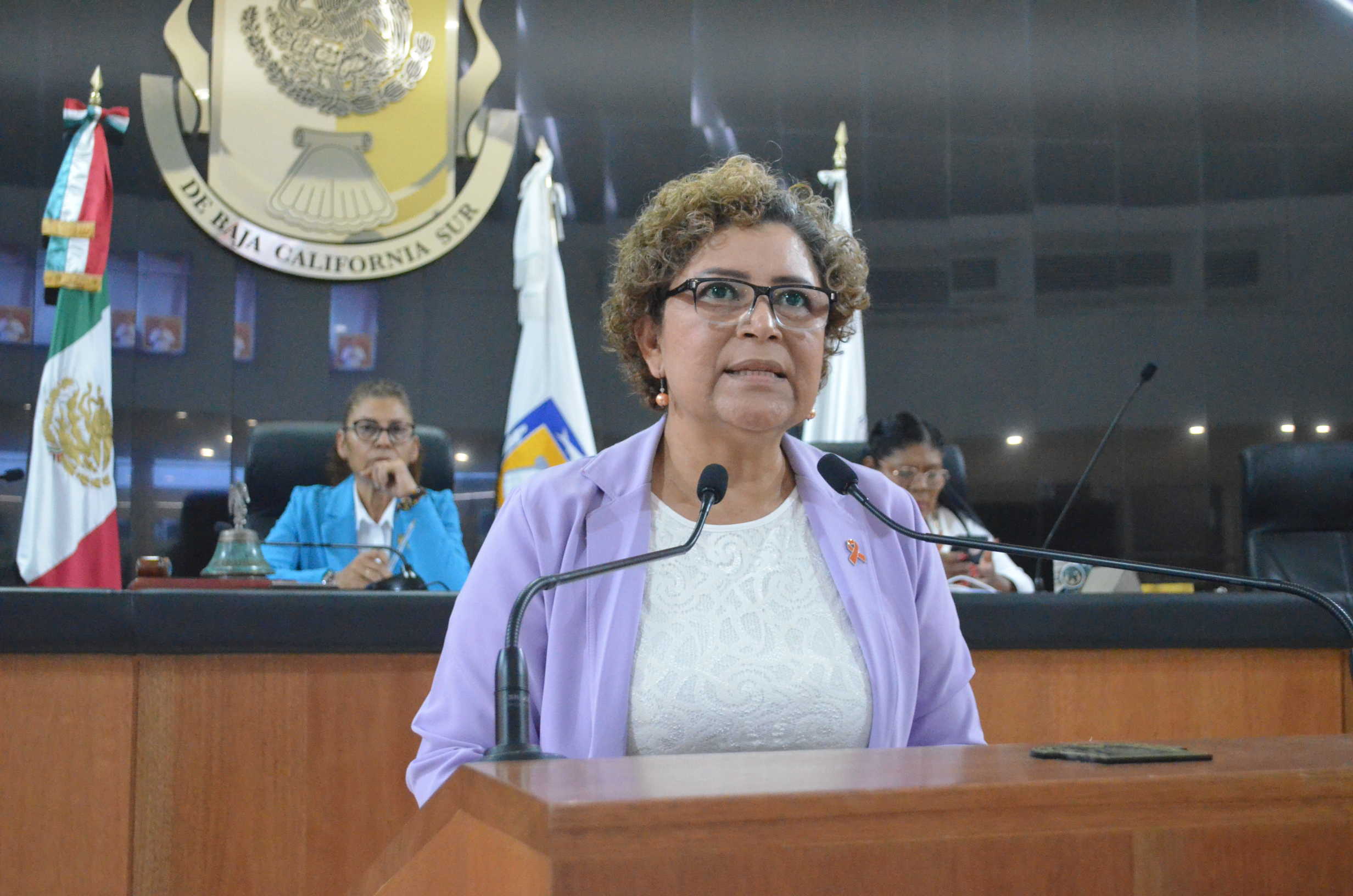 Alarmante el Incremento de Feminicidios en México y BCS Durante los Últimos 8 Años: María Luisa Ojeda