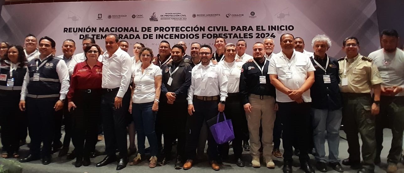 95% de incendios son provocados