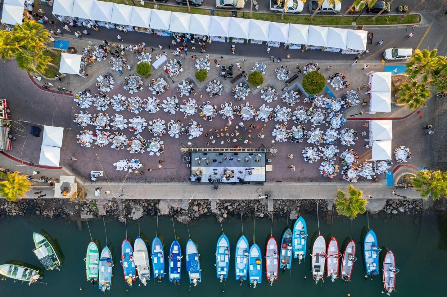 Realizarán Festival de la Almeja Chocolata en Loreto
