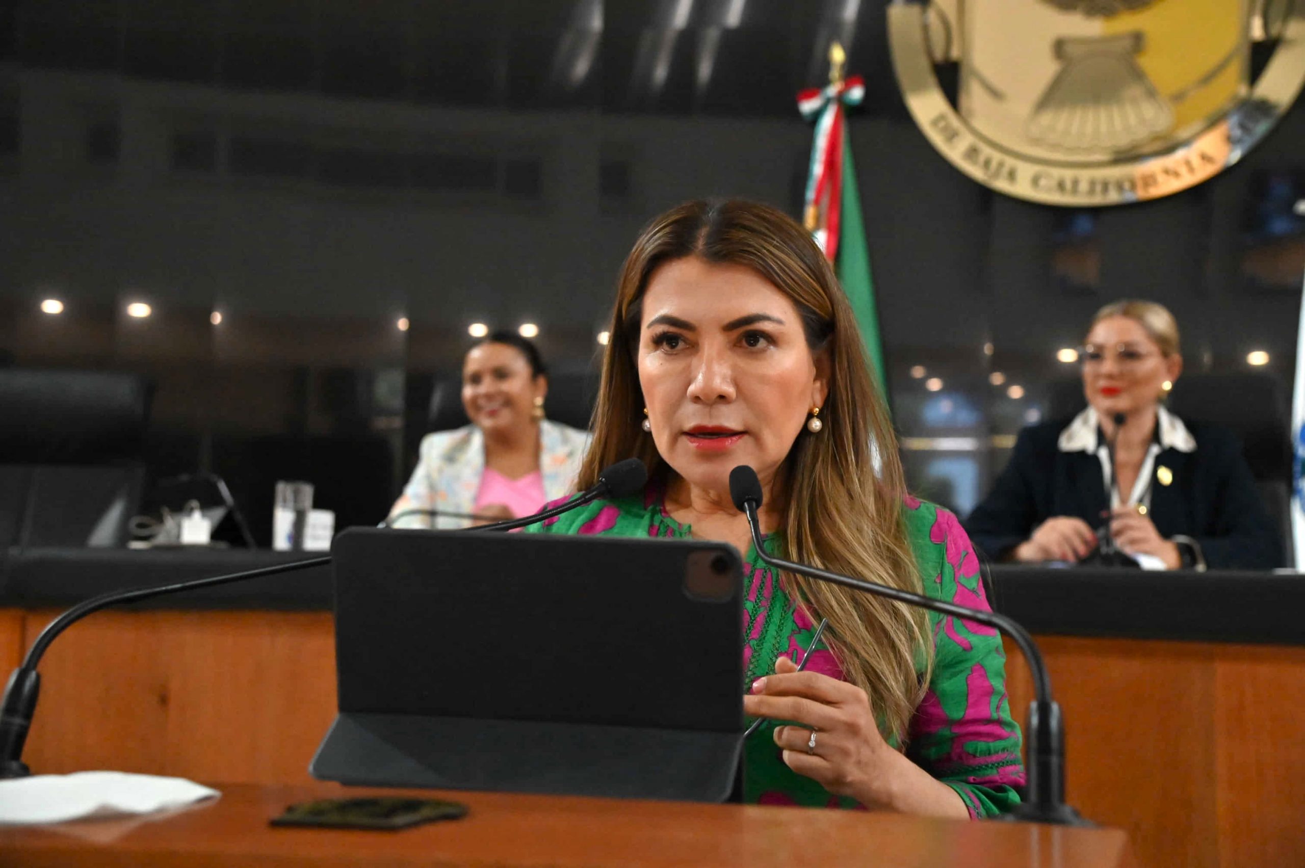 «Reforma Judicial Necesaria, pero No la Farsa de Morena»: Diputada Saldaña