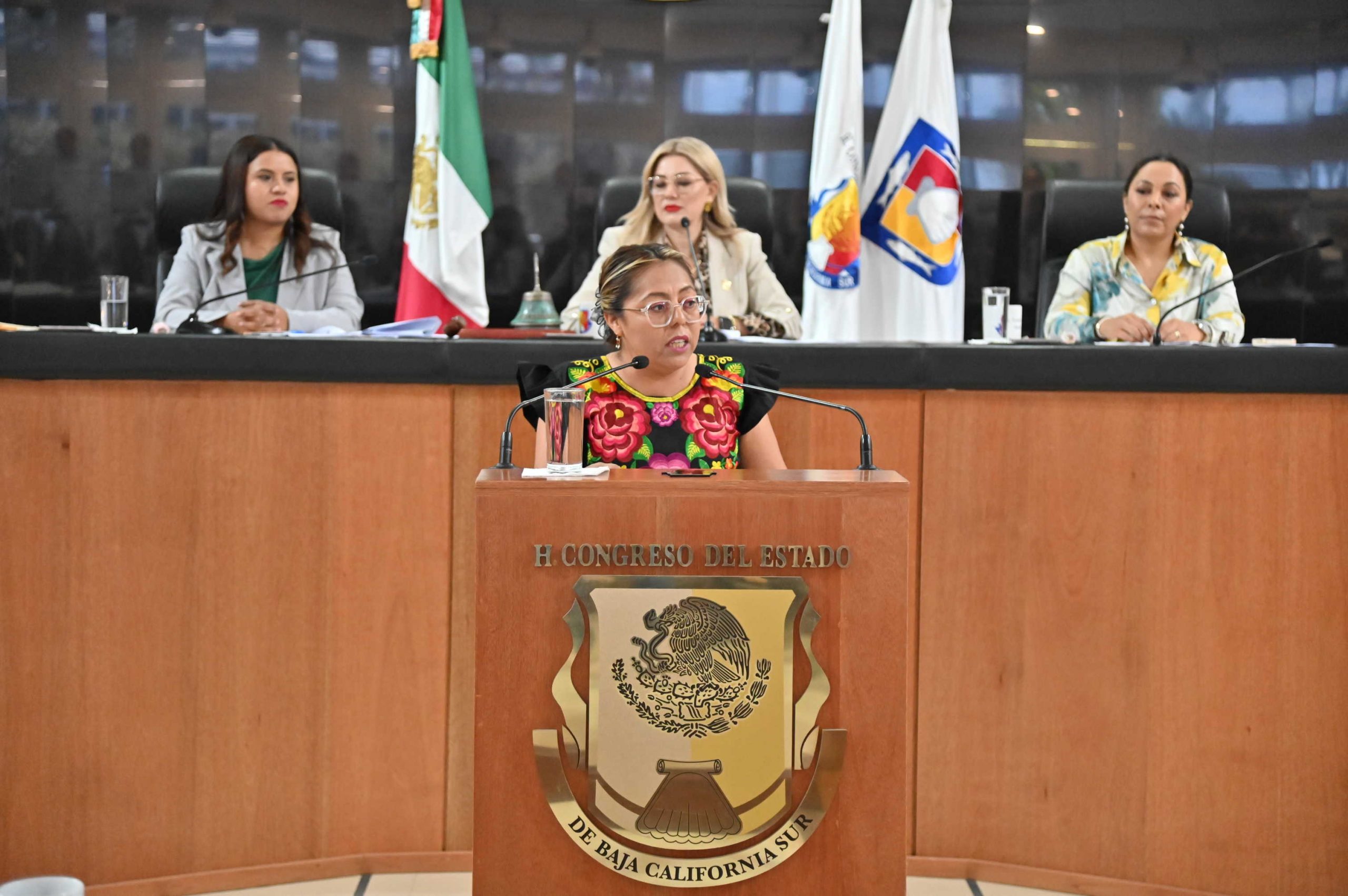 “Mi trabajo ha sido legislar, pero también trabajar en territorio”: diputada Teresita Valentín