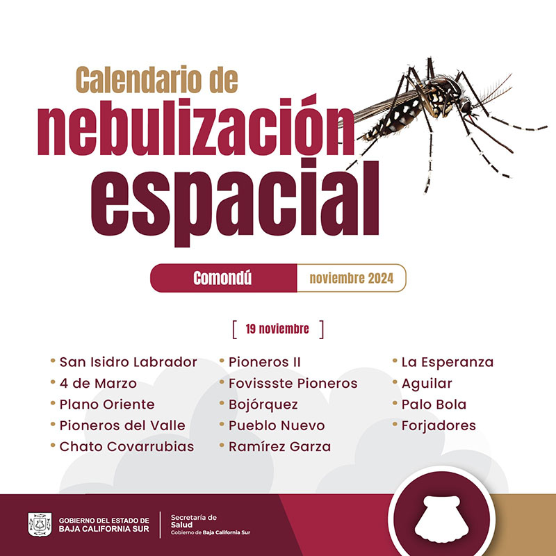 Inicia fumigación contra mosquito transmisor del dengue