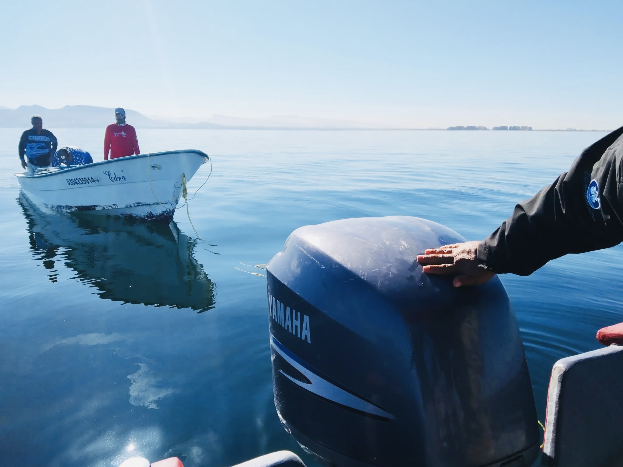 En BCS estudian especies de pesca de deportiva