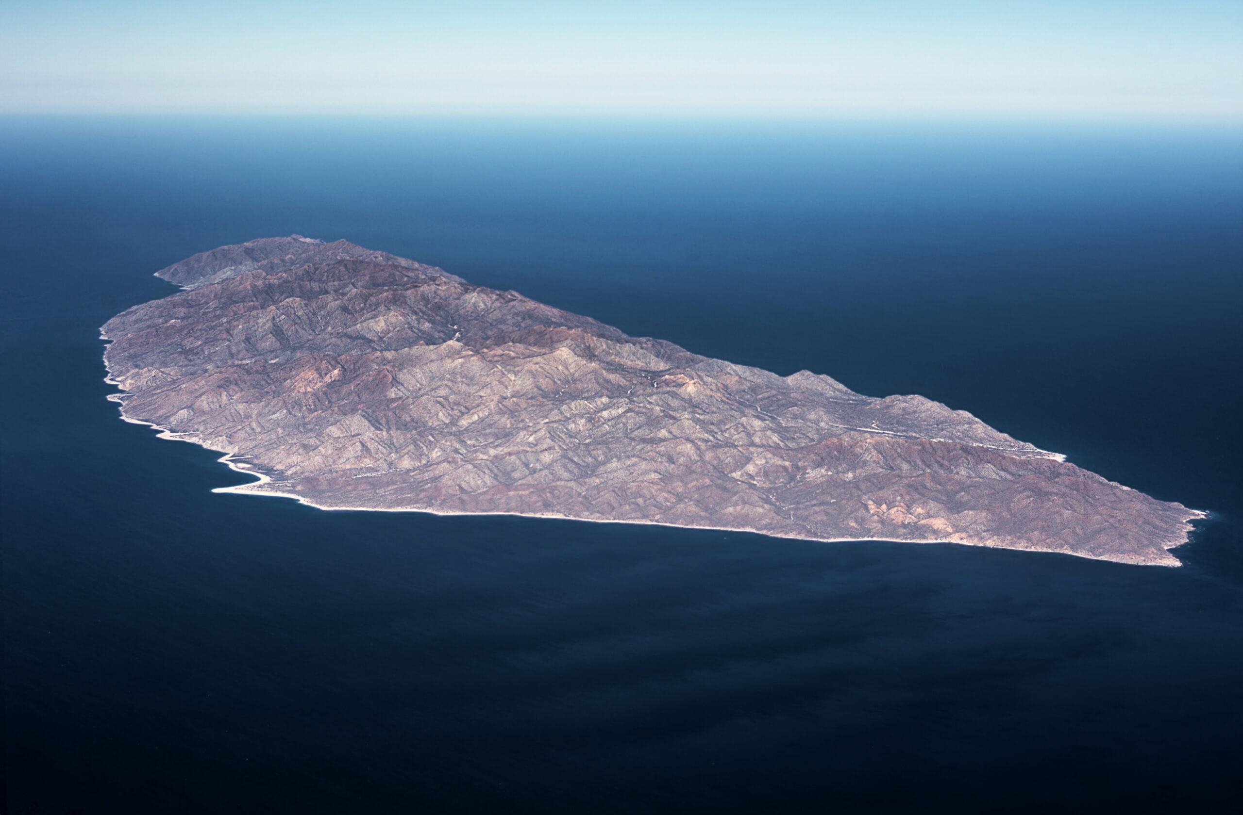 ¿Venta de isla Cerralvo? Aquí te decimos qué sabemos